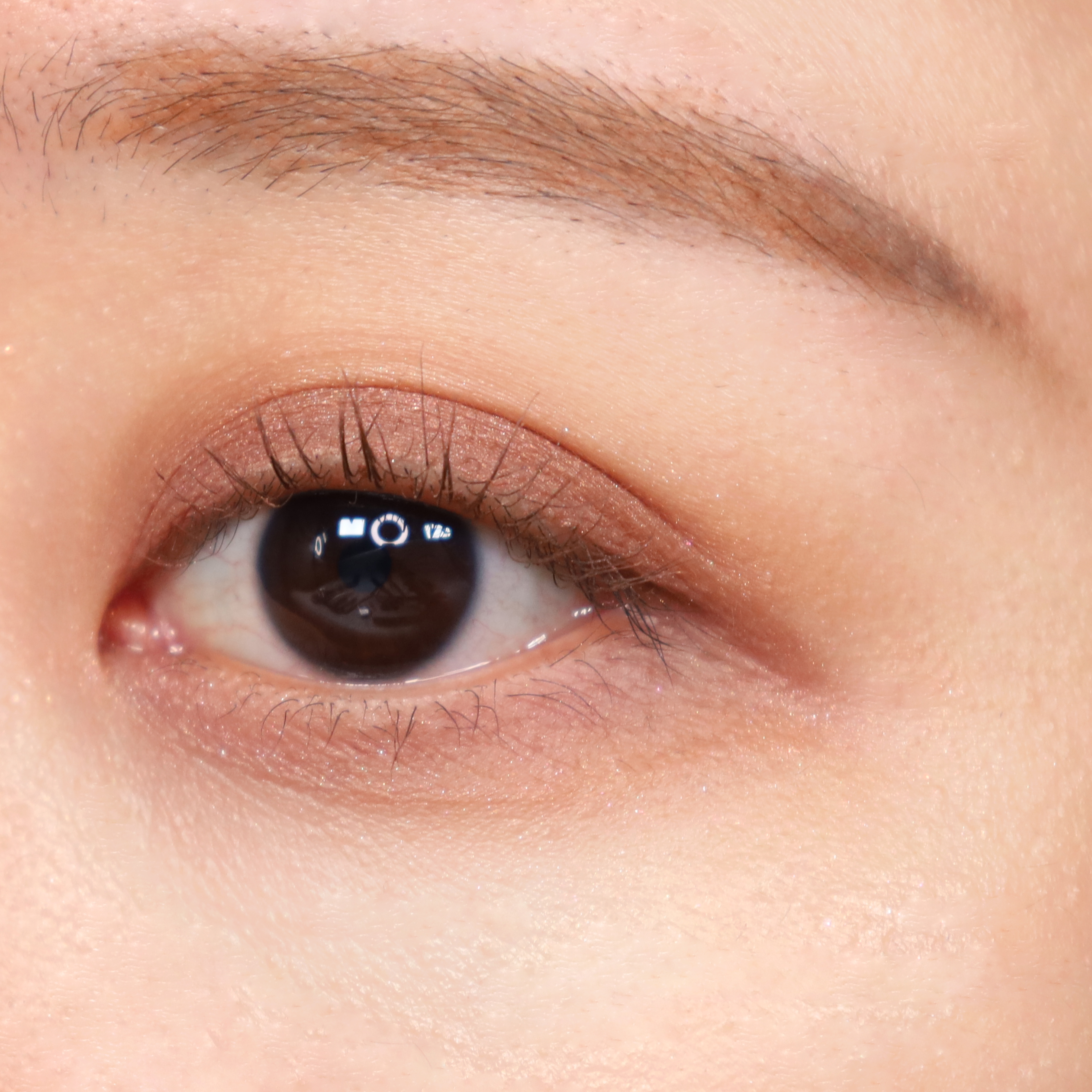 피드이미지정보-4