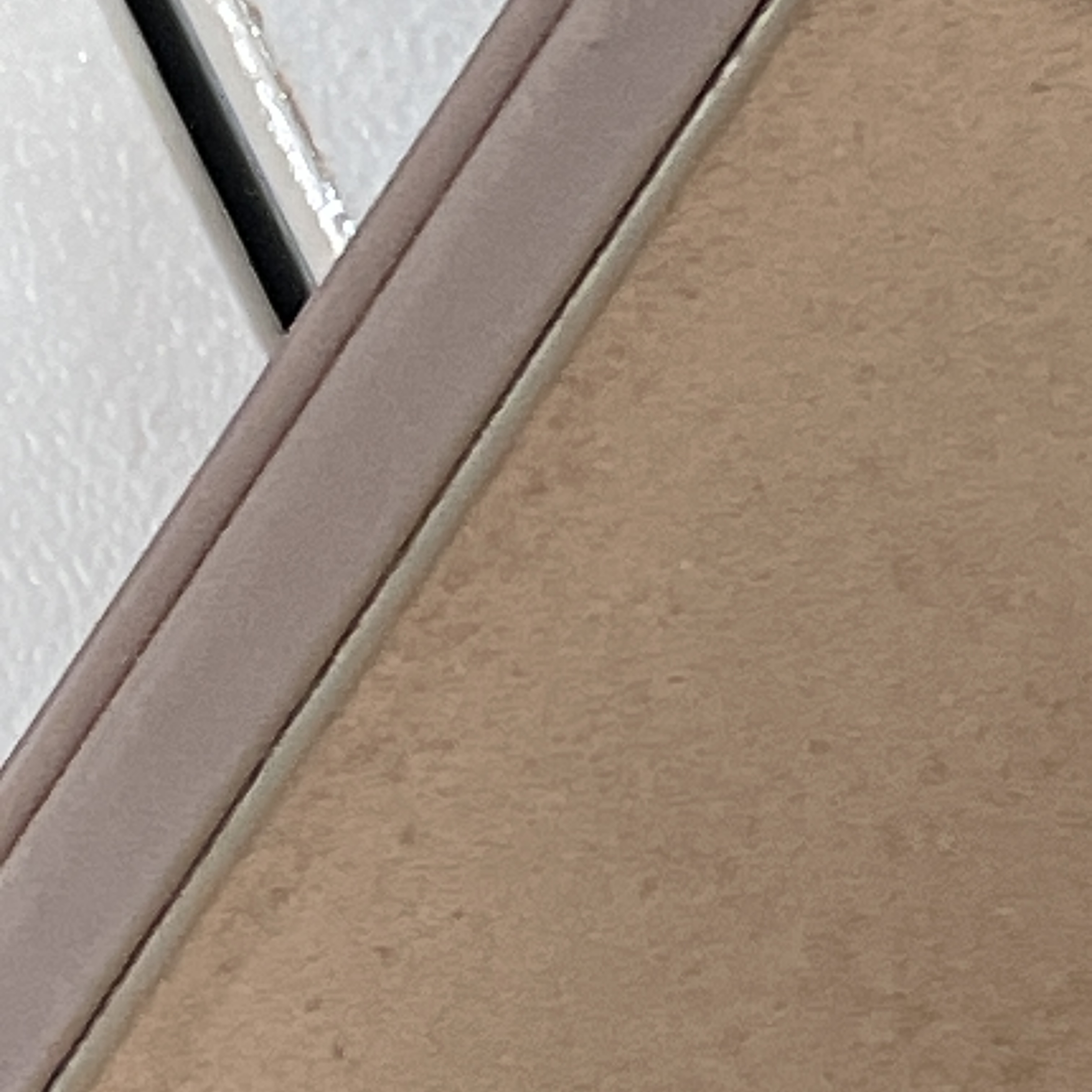 피드이미지정보-3