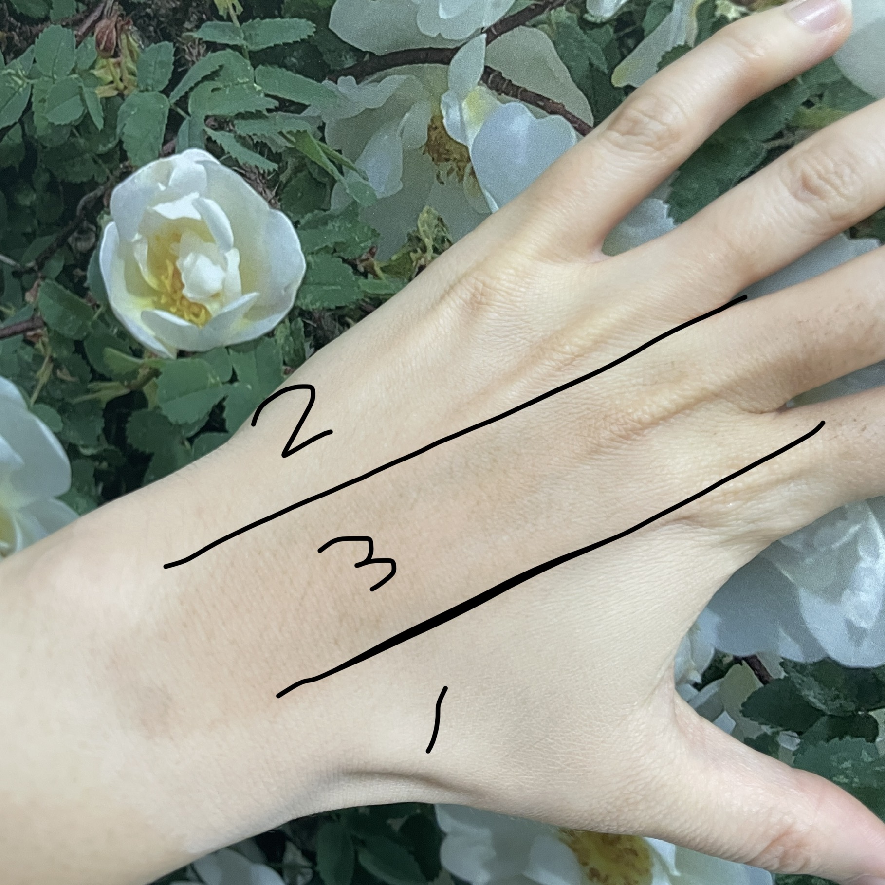 피드이미지정보-4