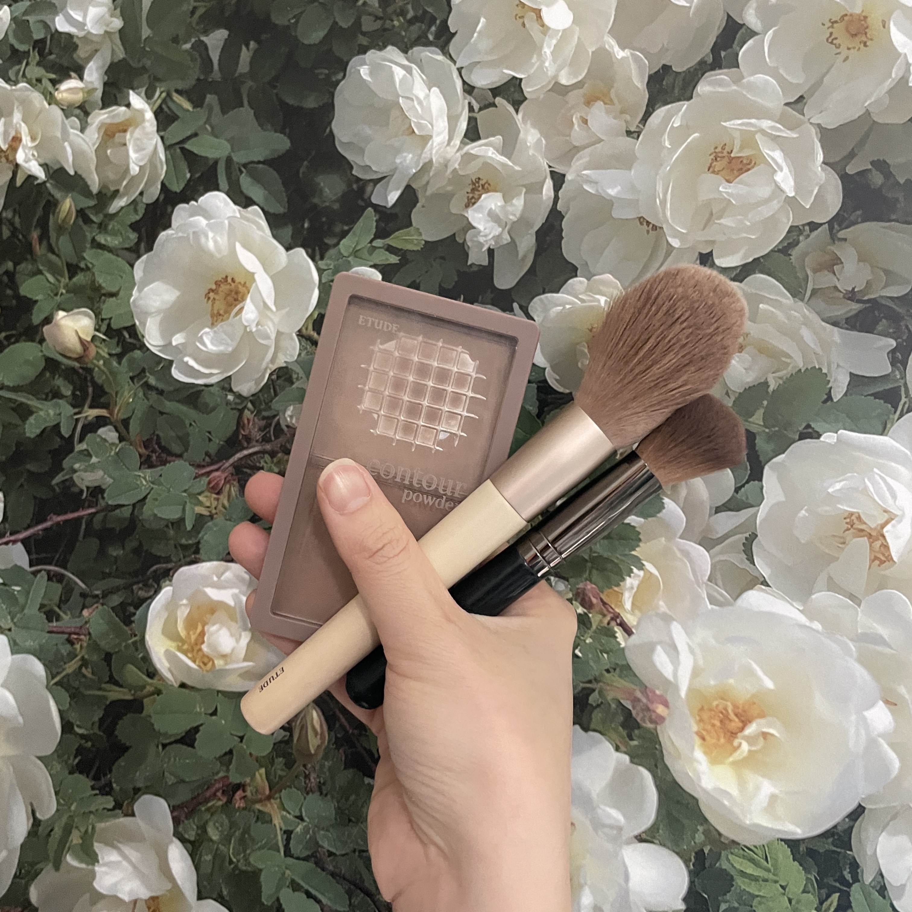 피드이미지정보-1