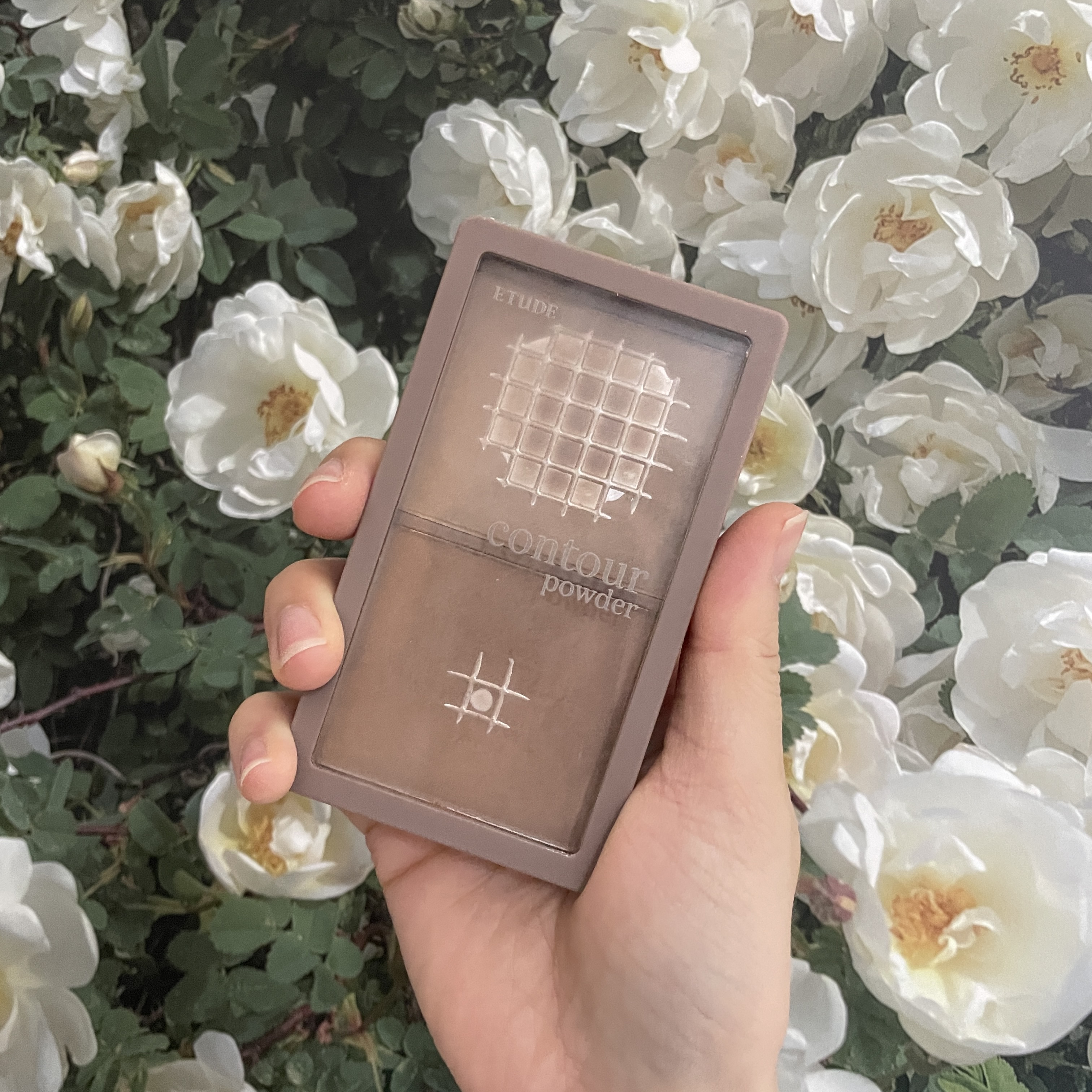 피드이미지정보-0