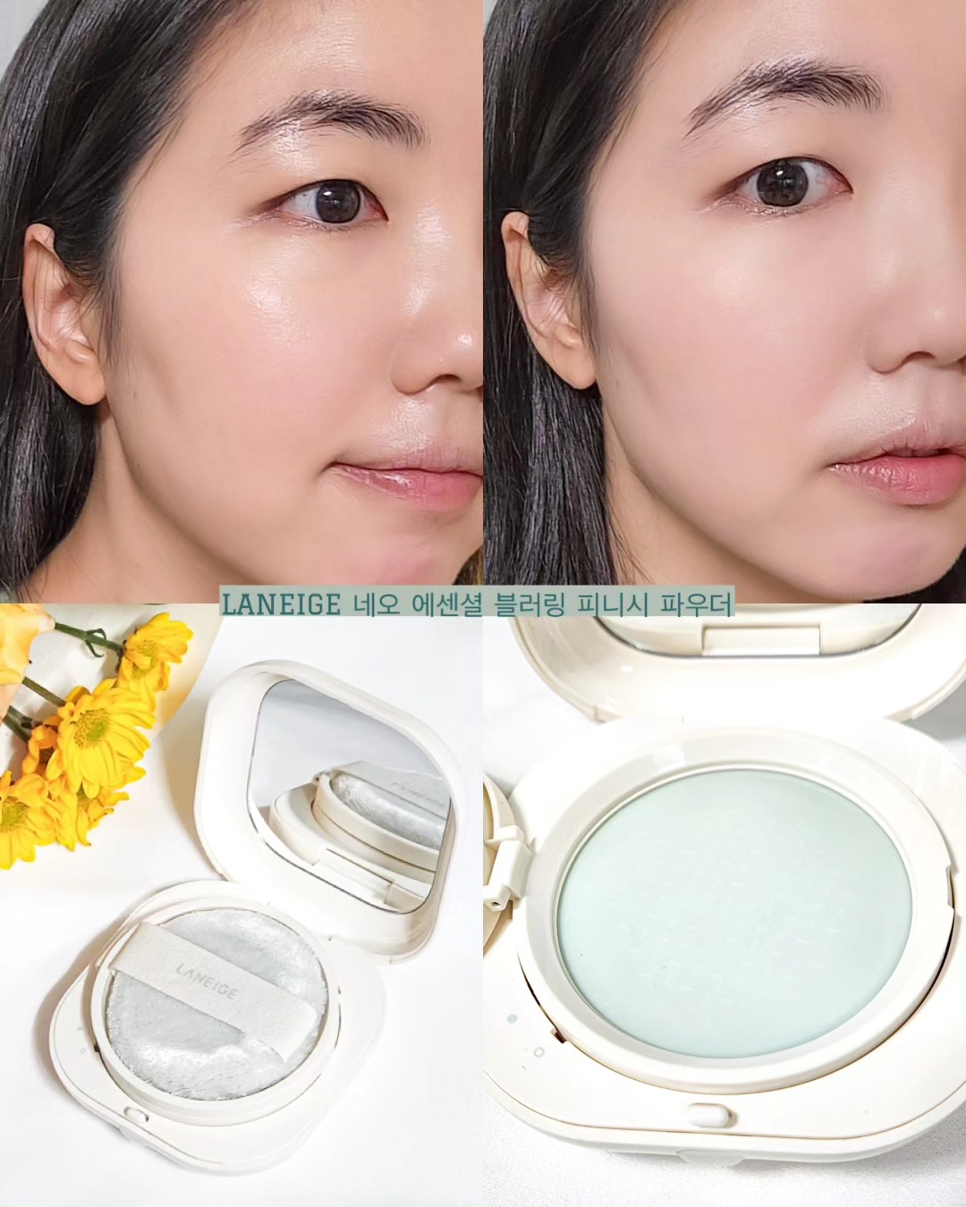 피드이미지정보-0