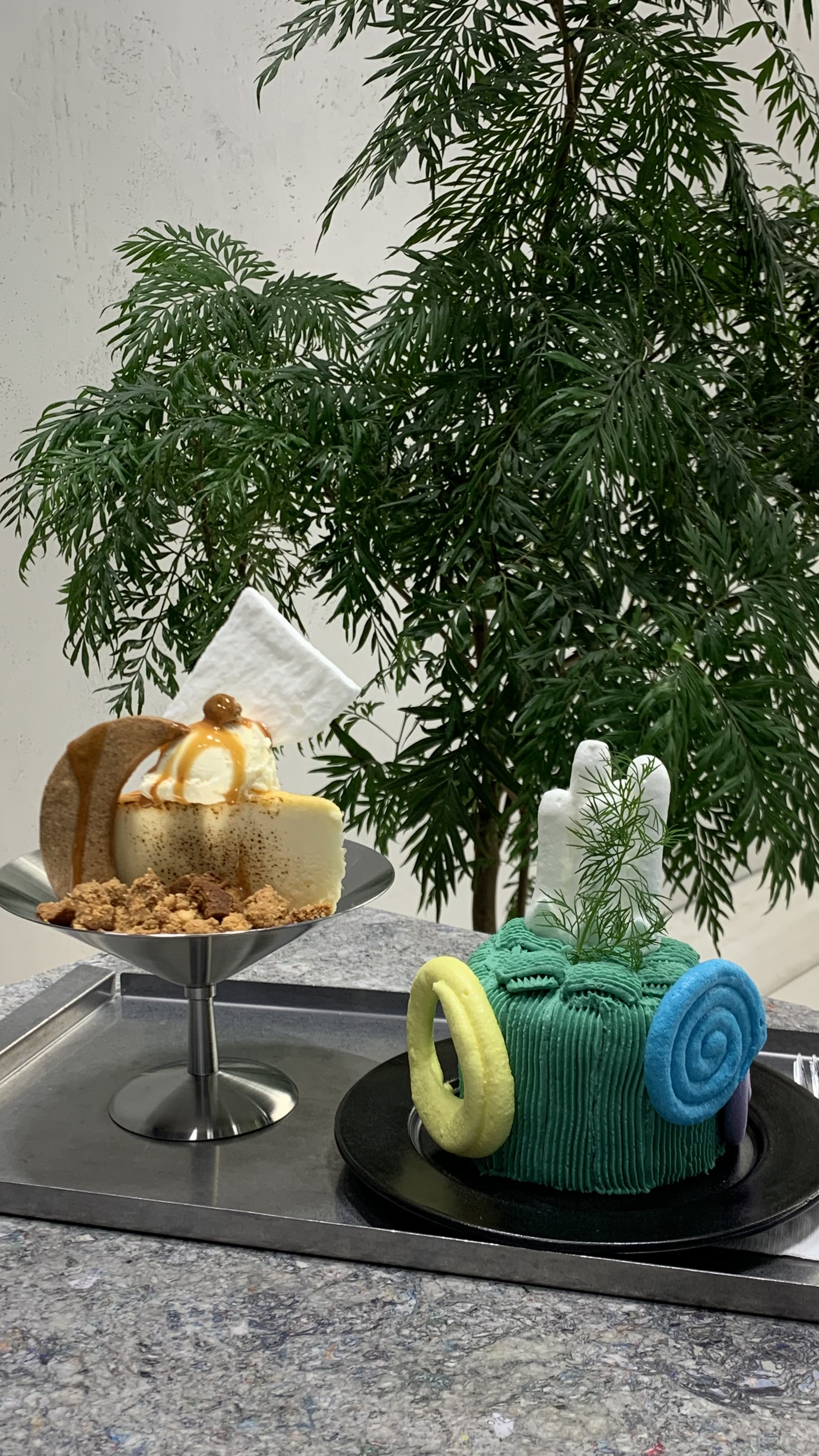 피드이미지정보-0