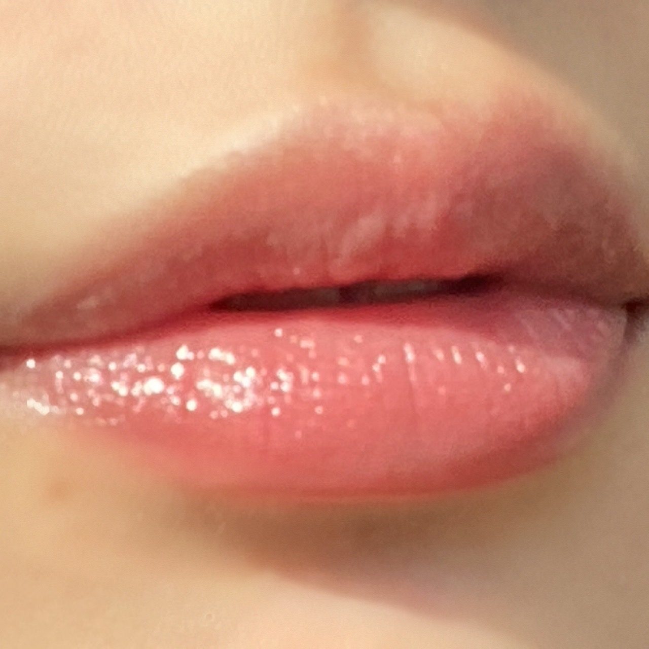 피드이미지정보-1