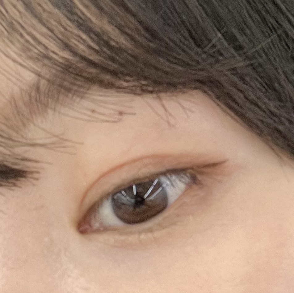 피드이미지정보-2