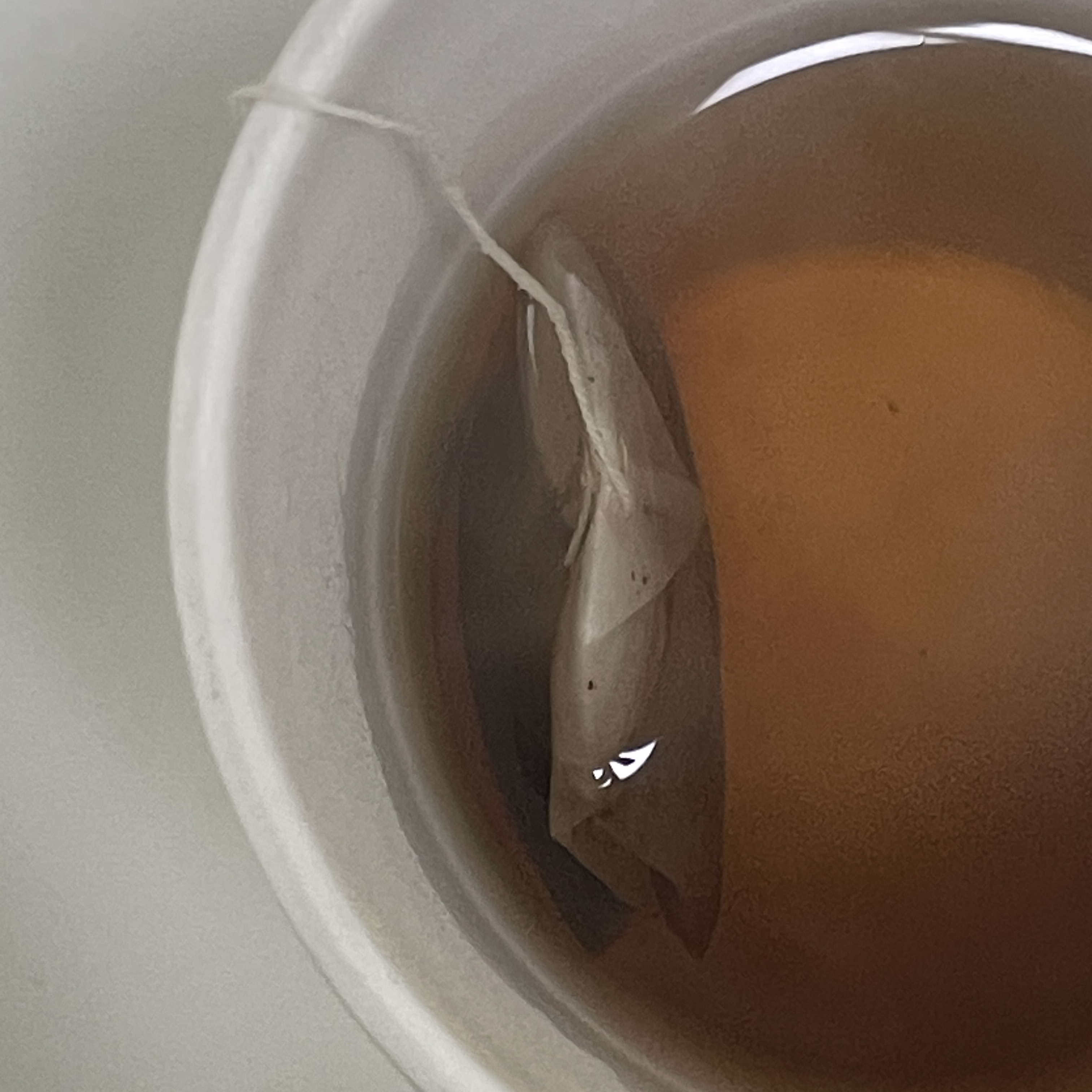 피드이미지정보-3