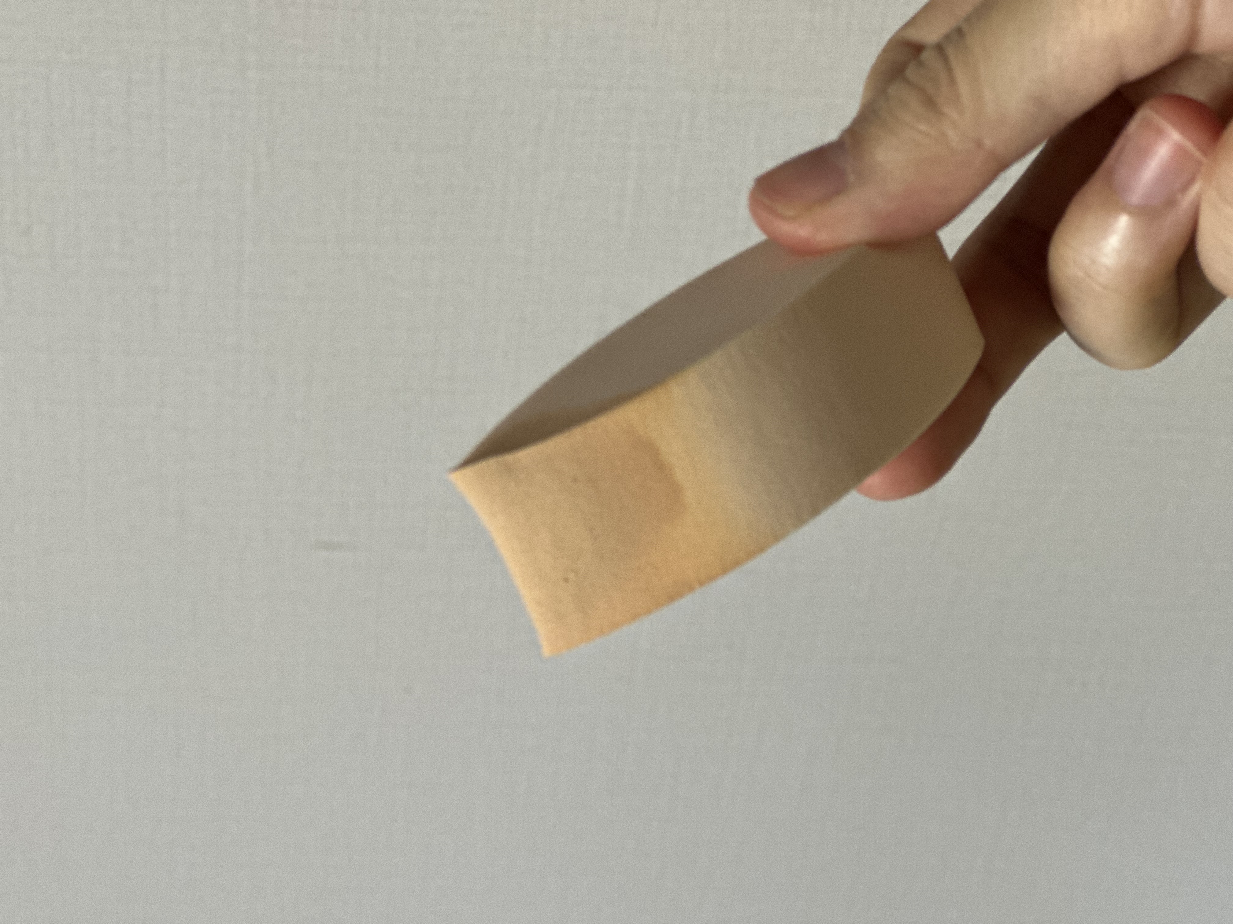 피드이미지정보-4