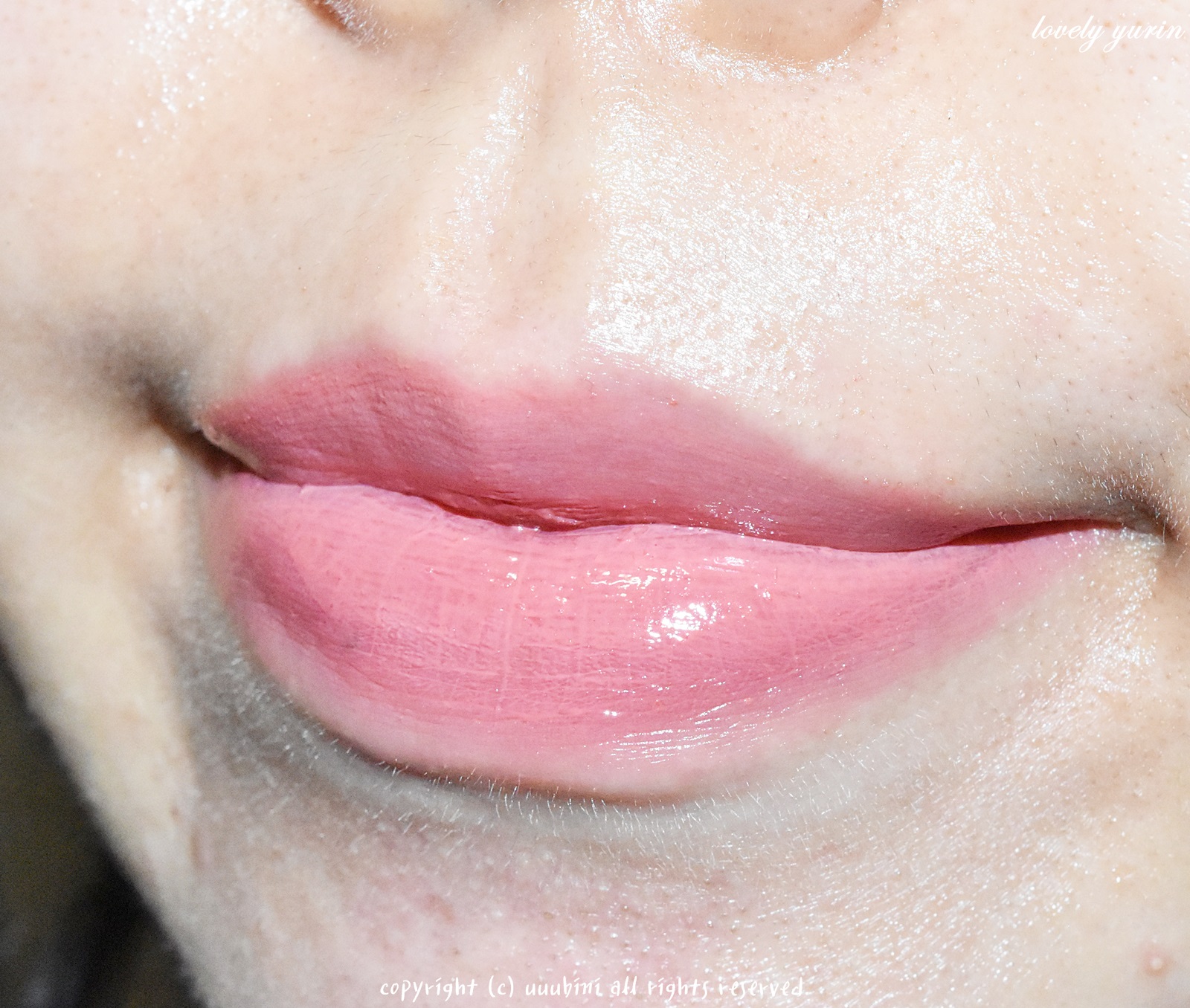 피드이미지정보-5