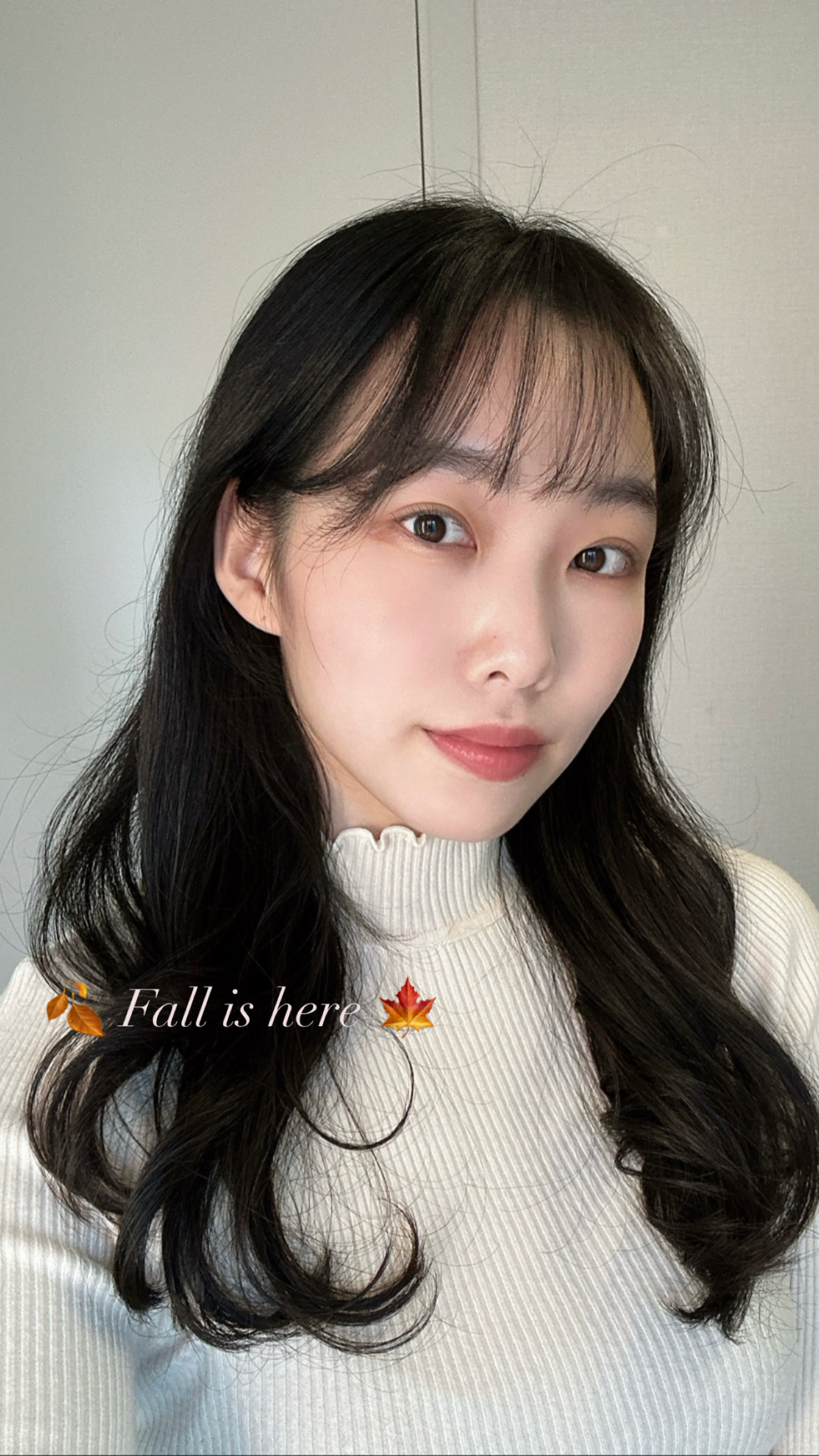 피드이미지정보-0