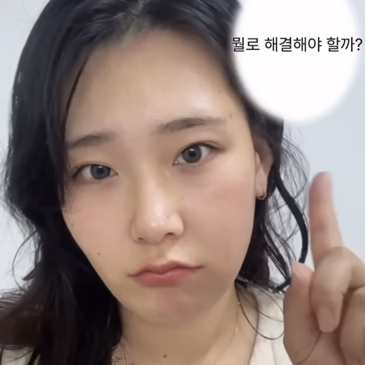 피드이미지정보-0