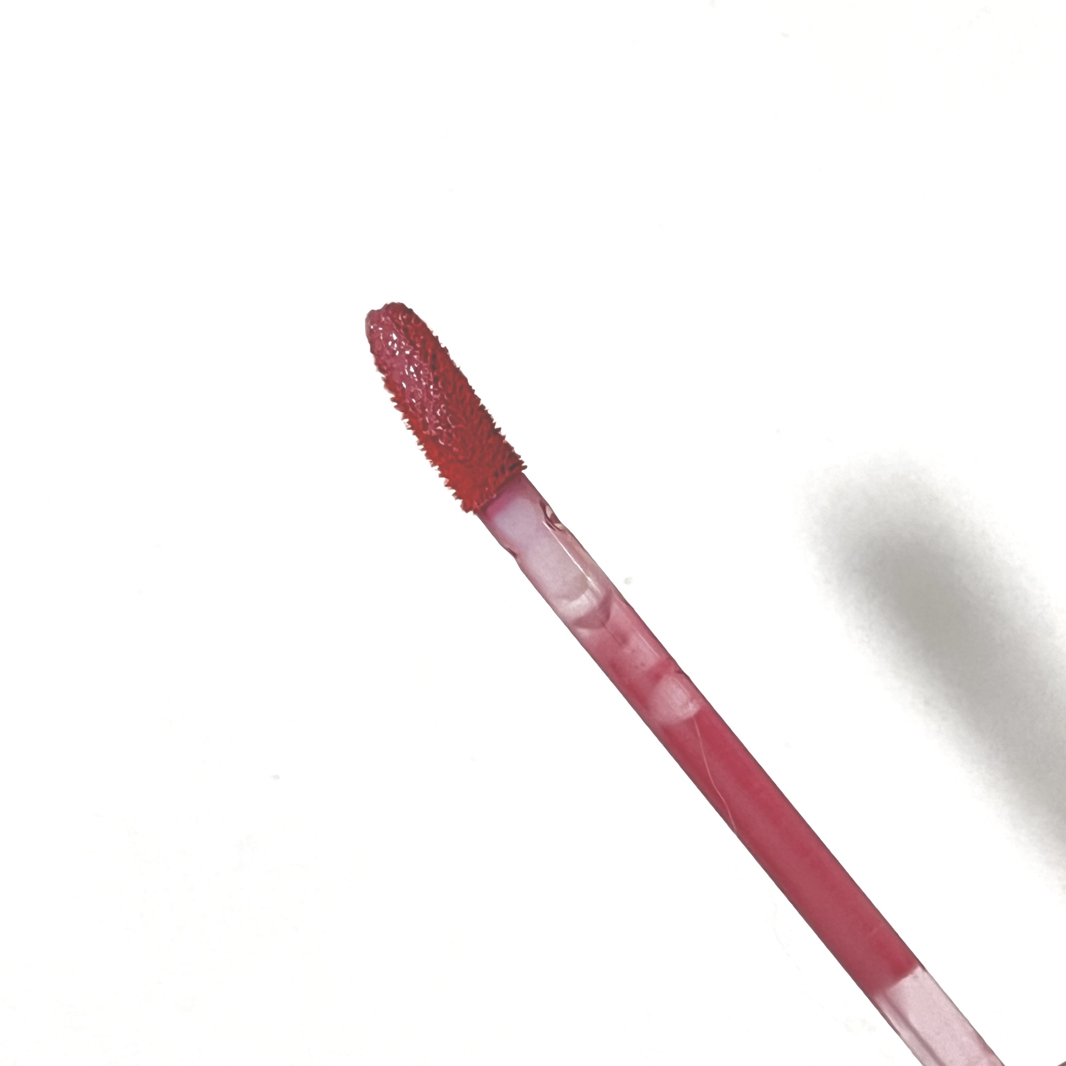 피드이미지정보-1