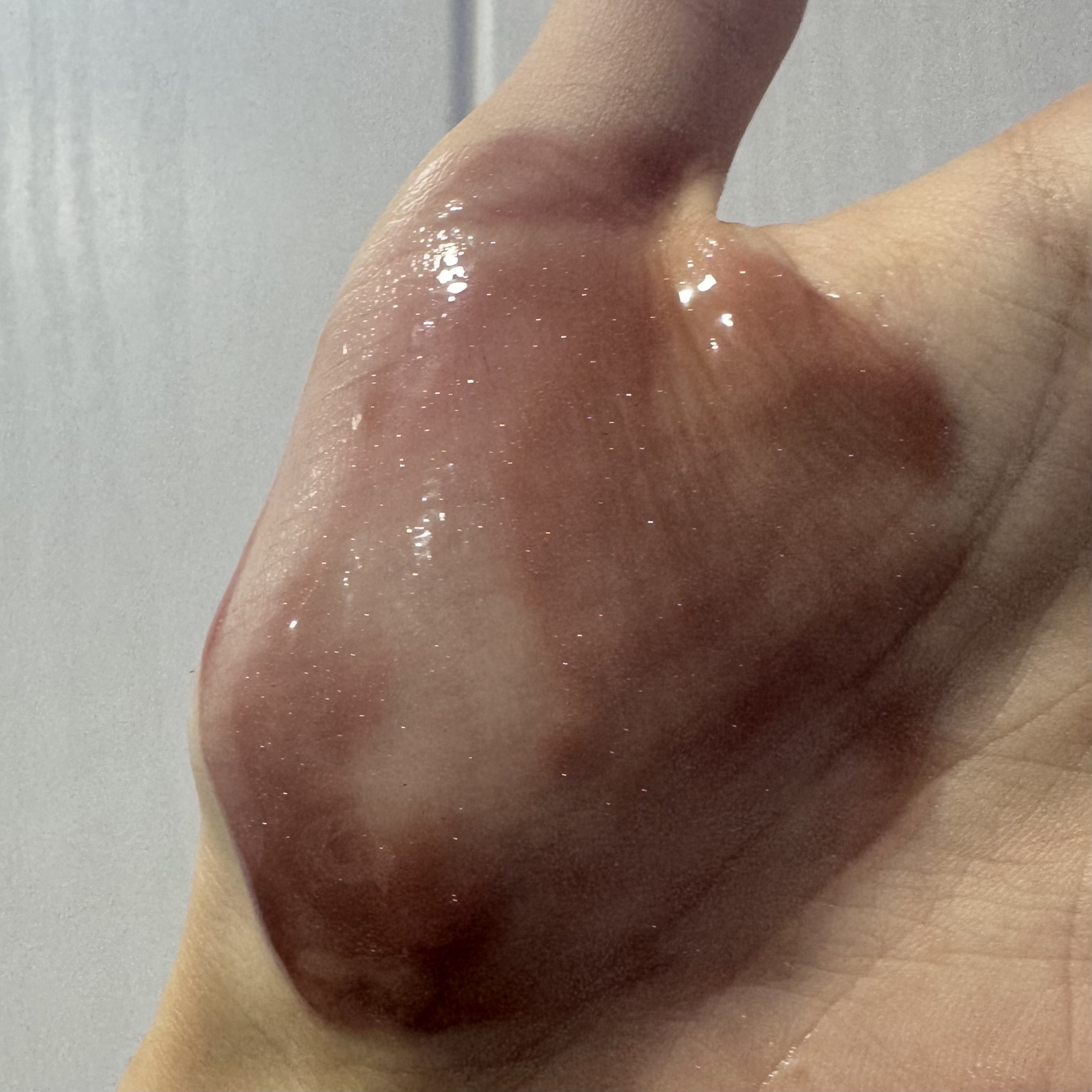 피드이미지정보-2