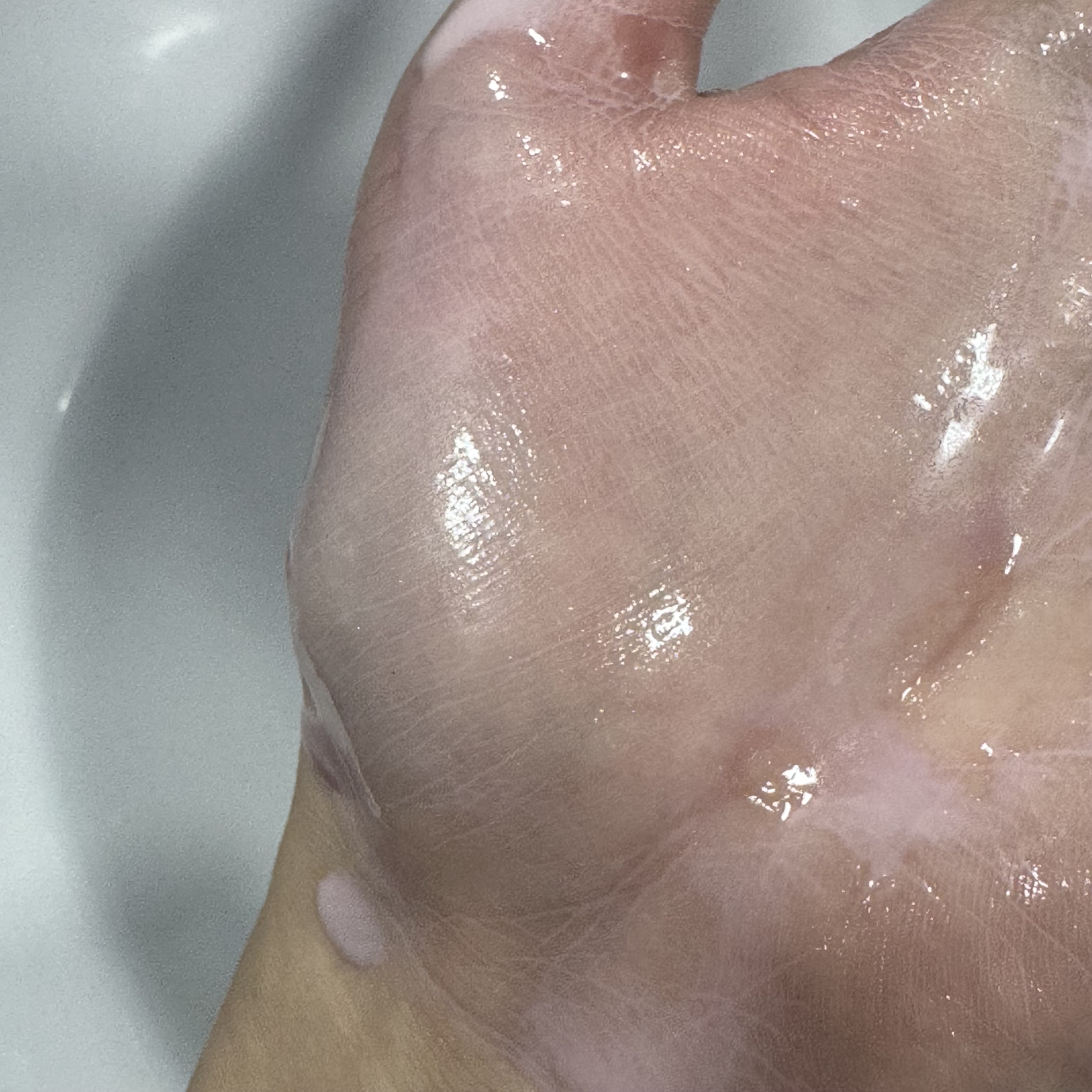 피드이미지정보-3