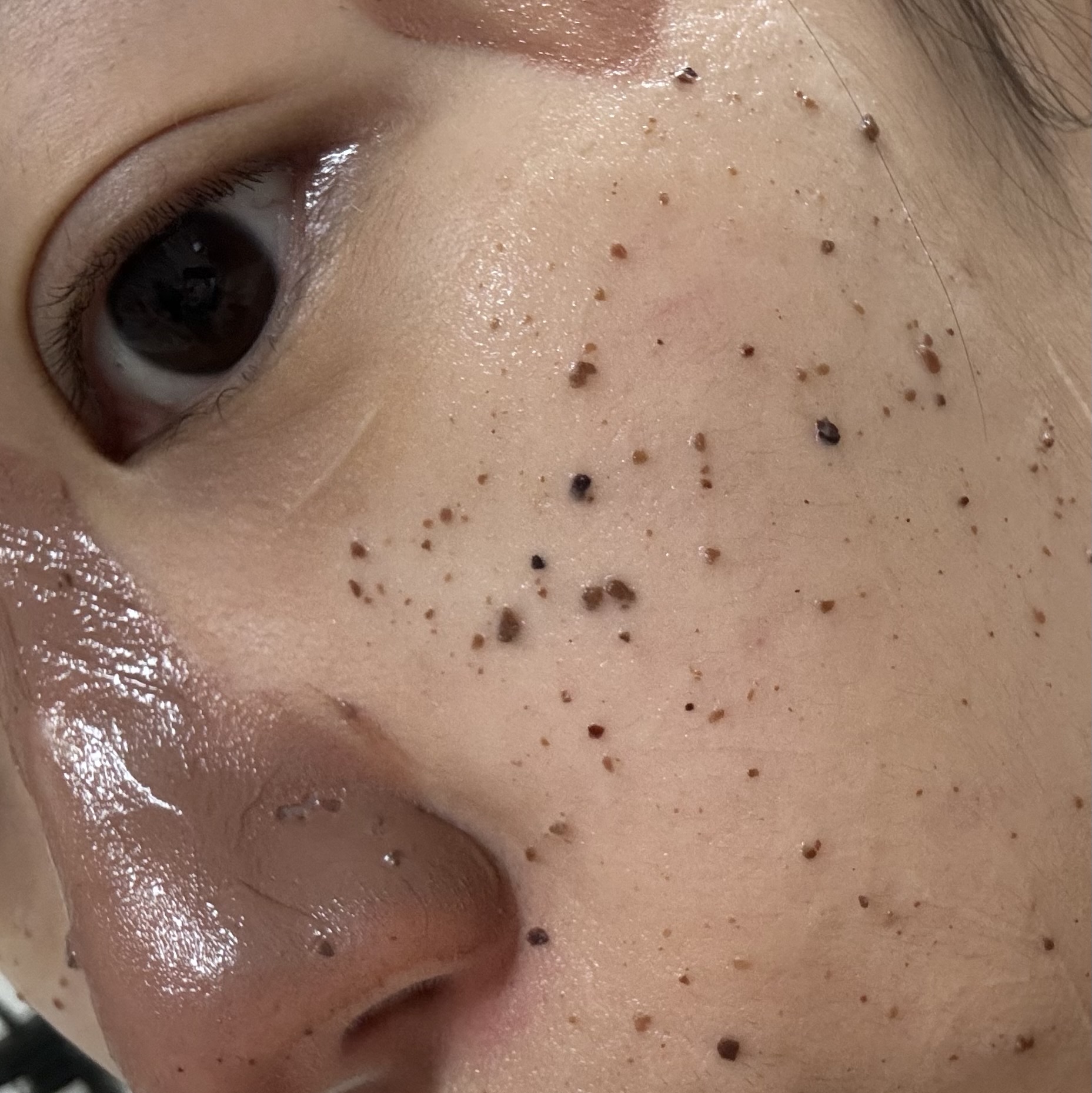 피드이미지정보-3