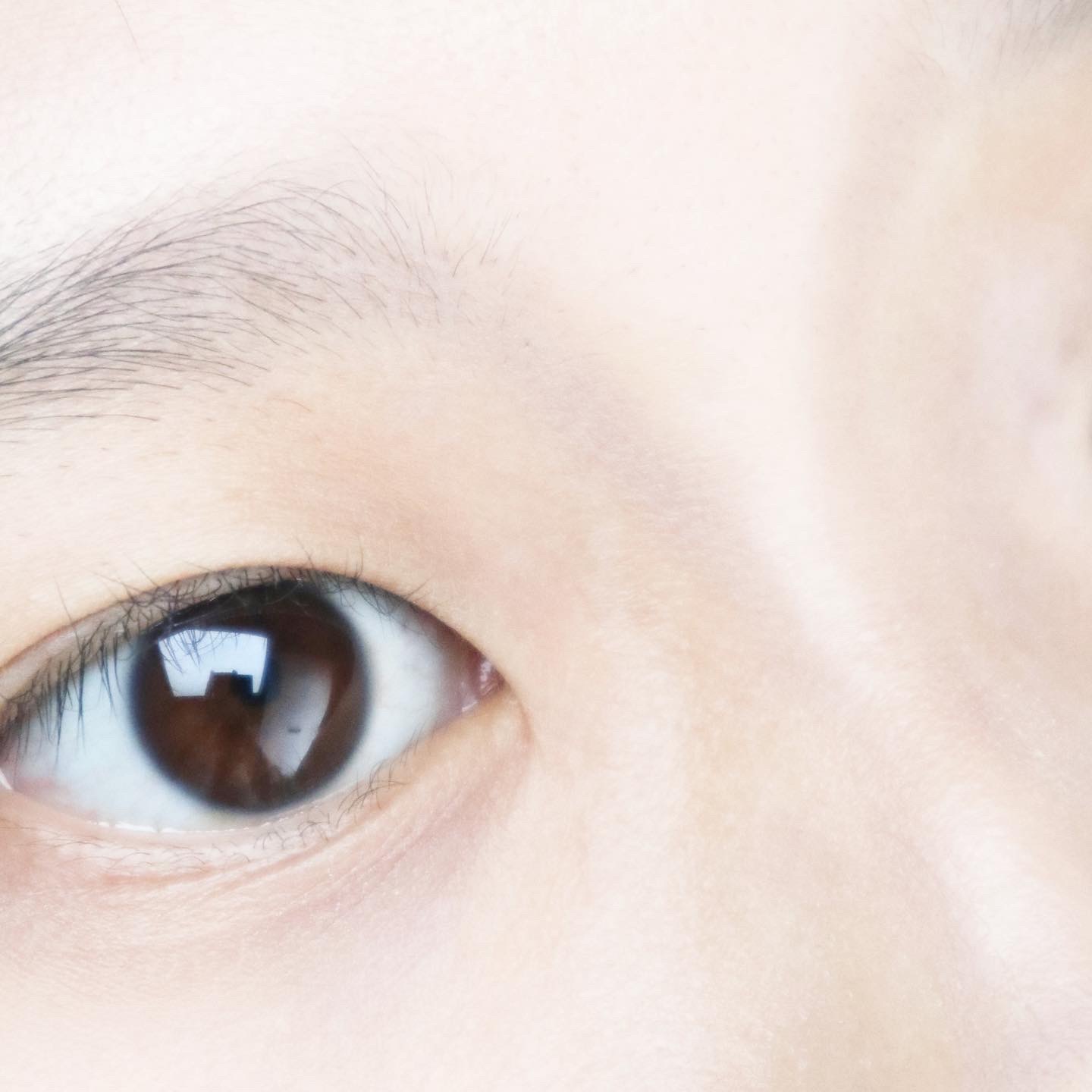 피드이미지정보-4