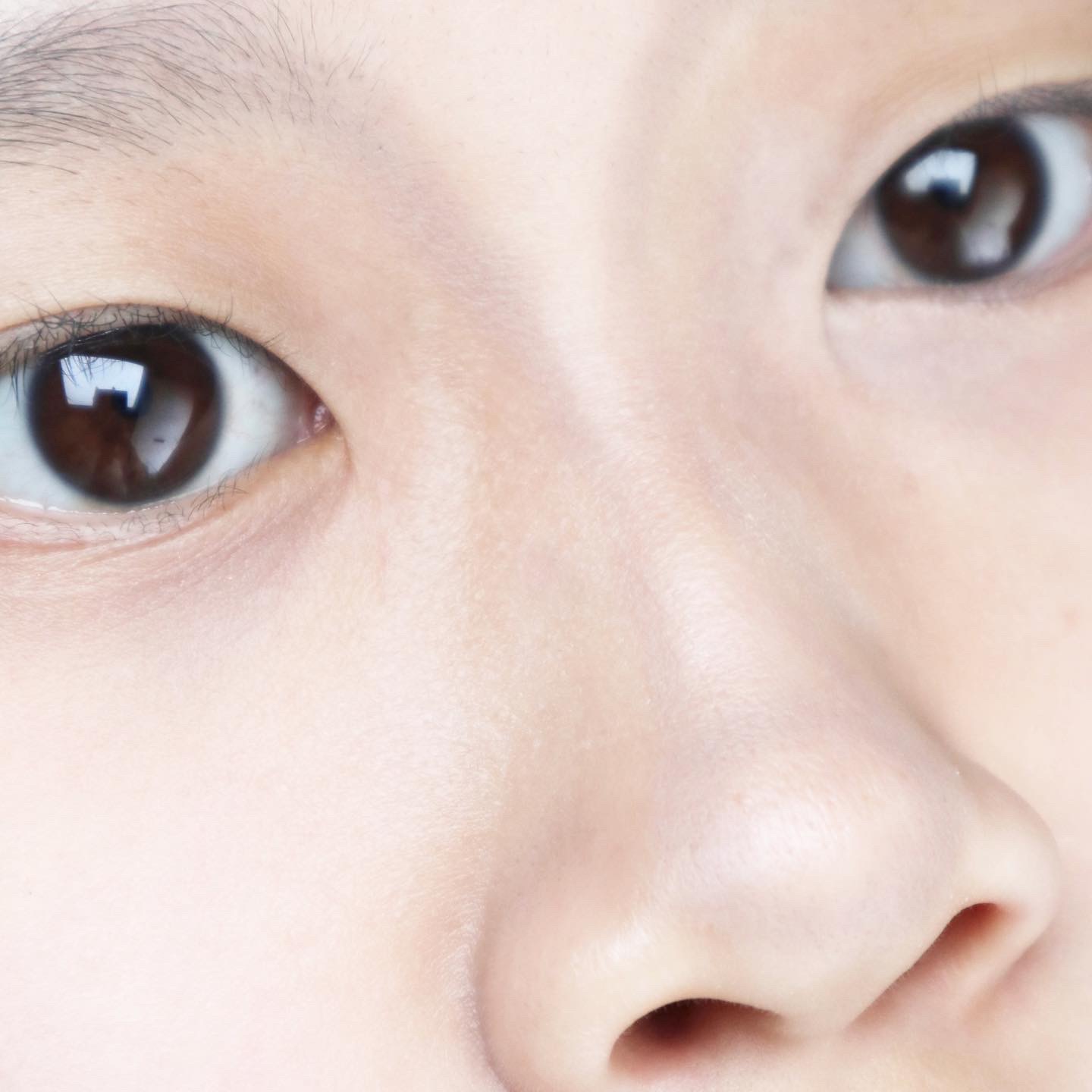 피드이미지정보-3