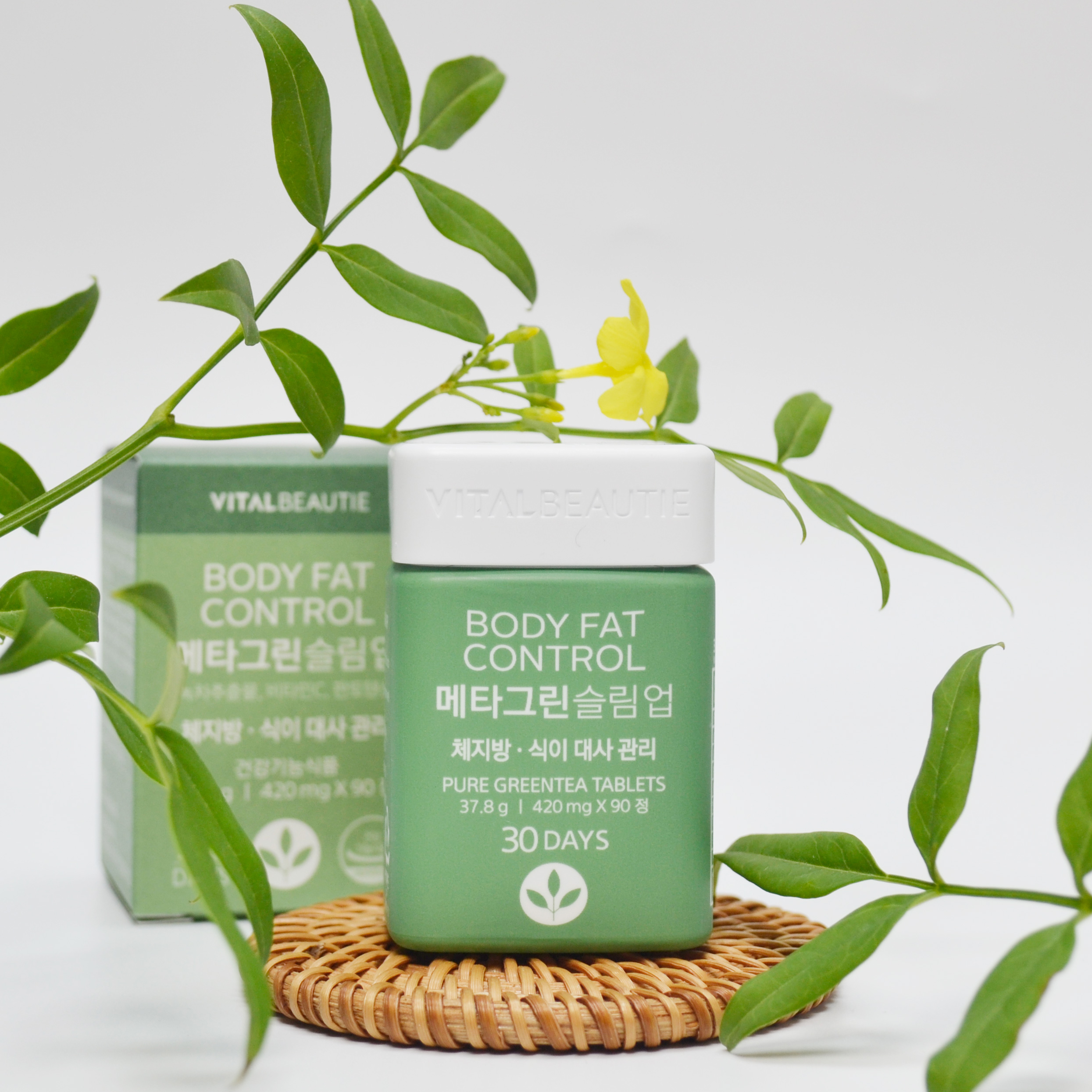 피드이미지정보-2