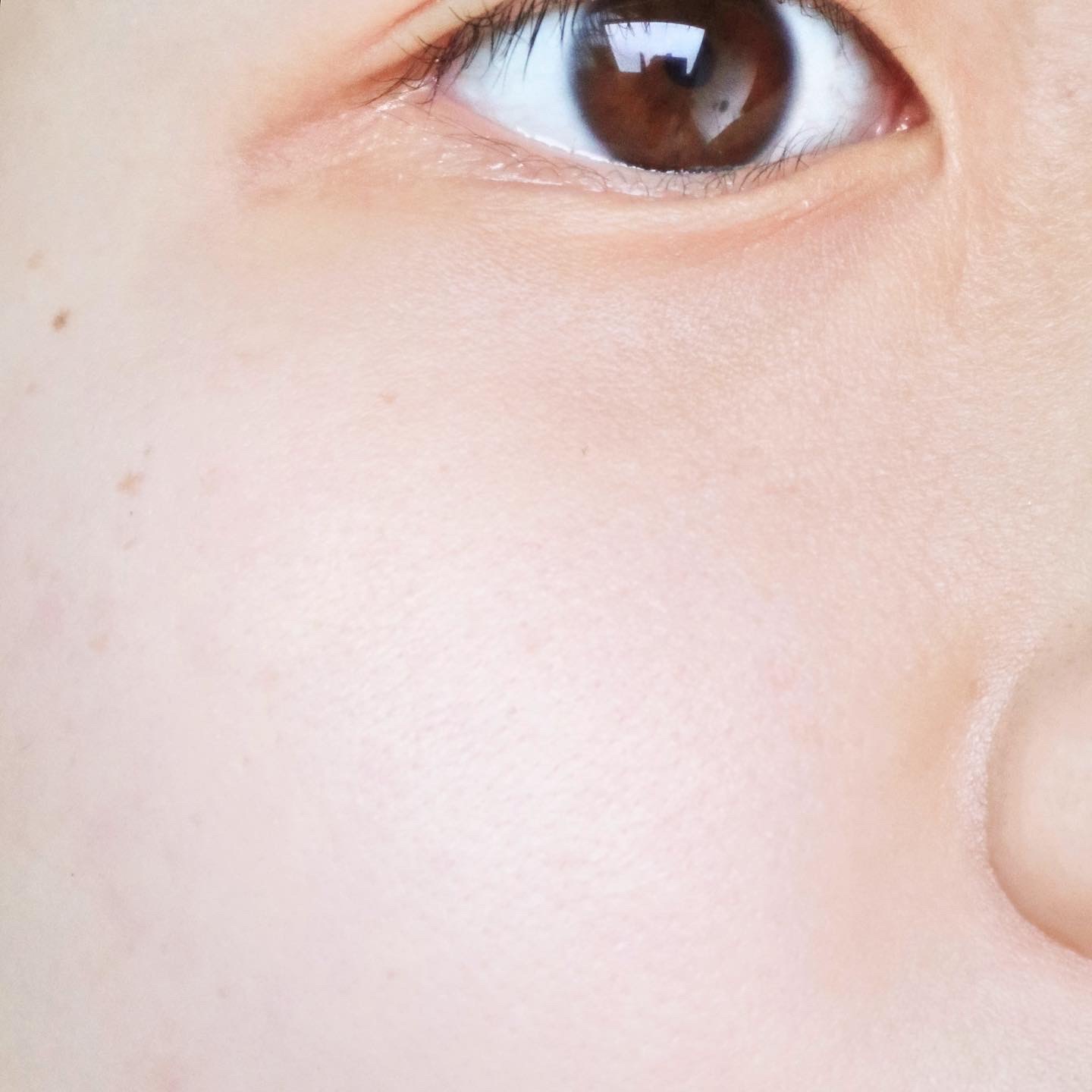 피드이미지정보-4