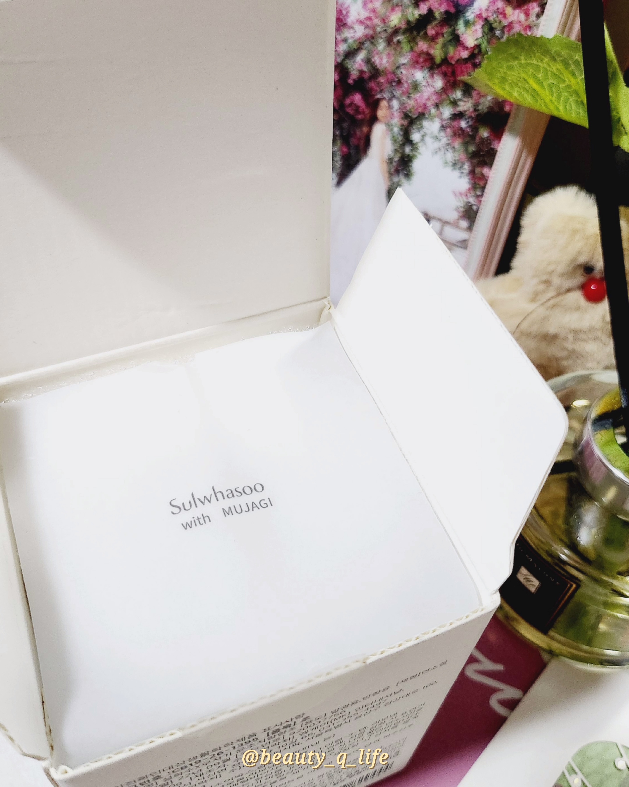 피드이미지정보-2