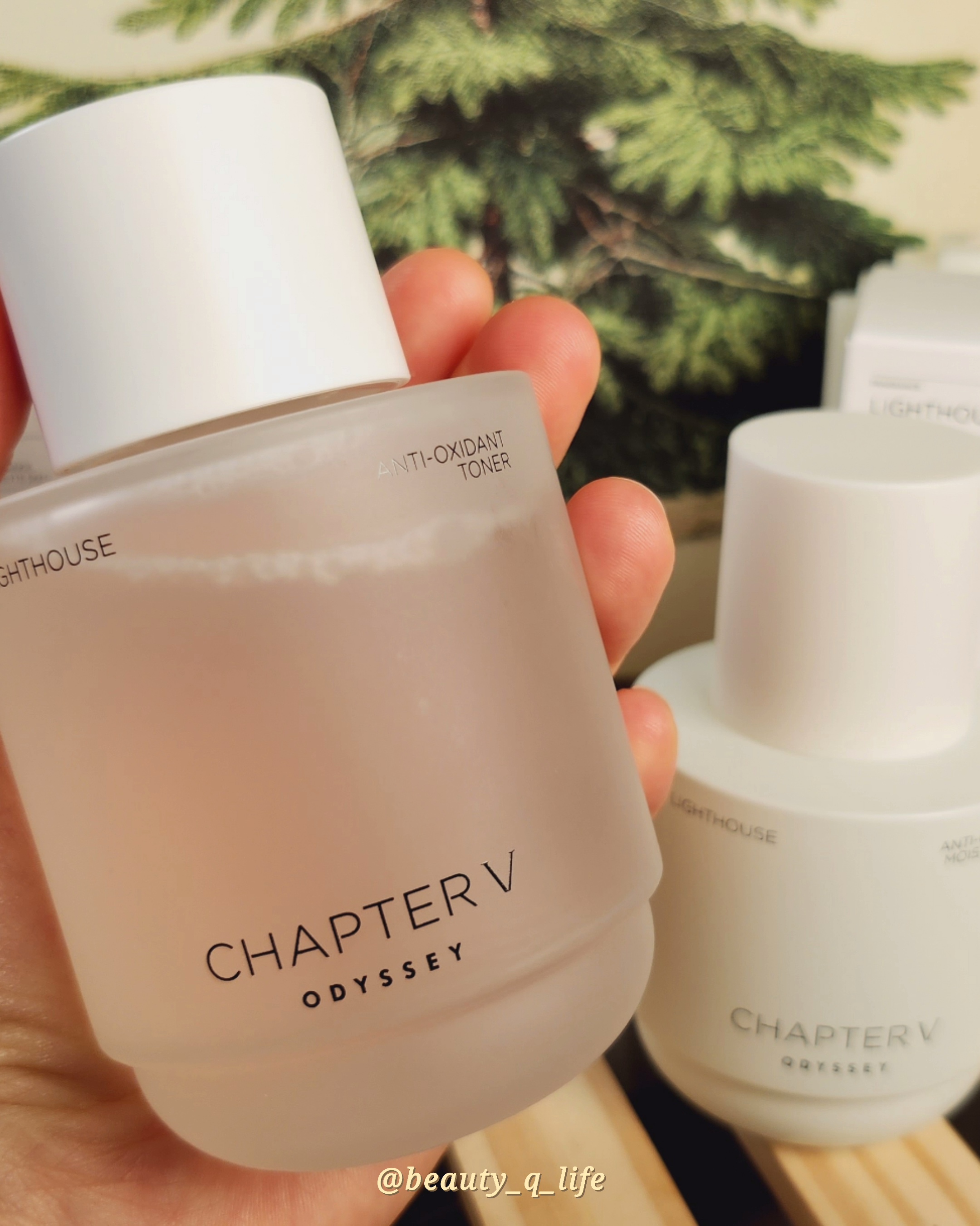 피드이미지정보-2