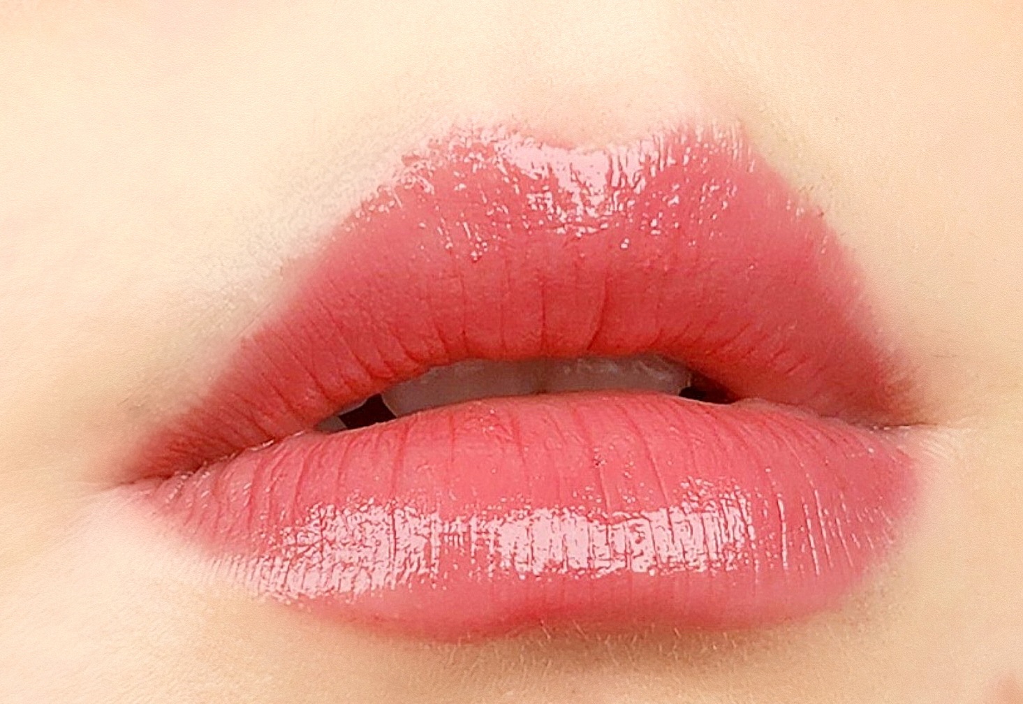 피드이미지정보-2