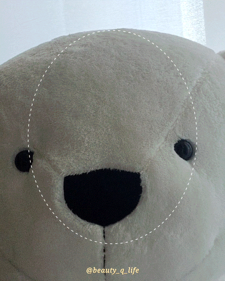 피드이미지정보-0