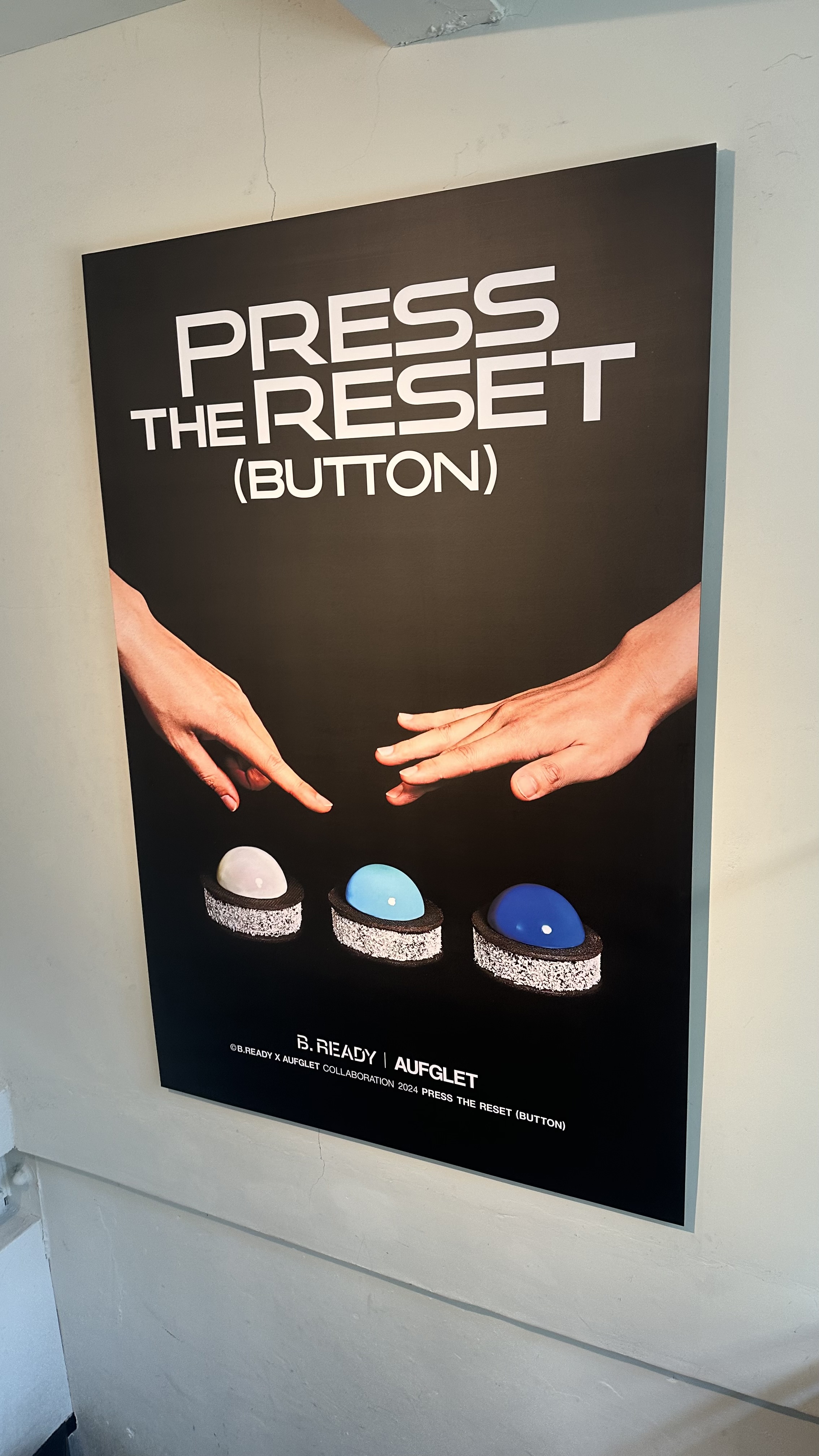 피드이미지정보-2