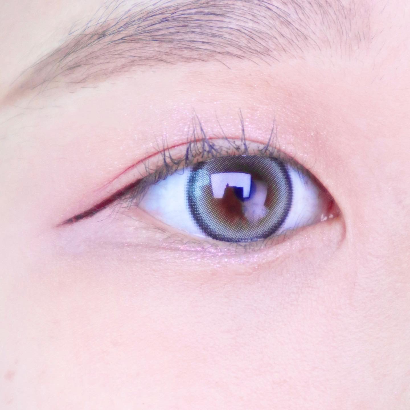 피드이미지정보-4