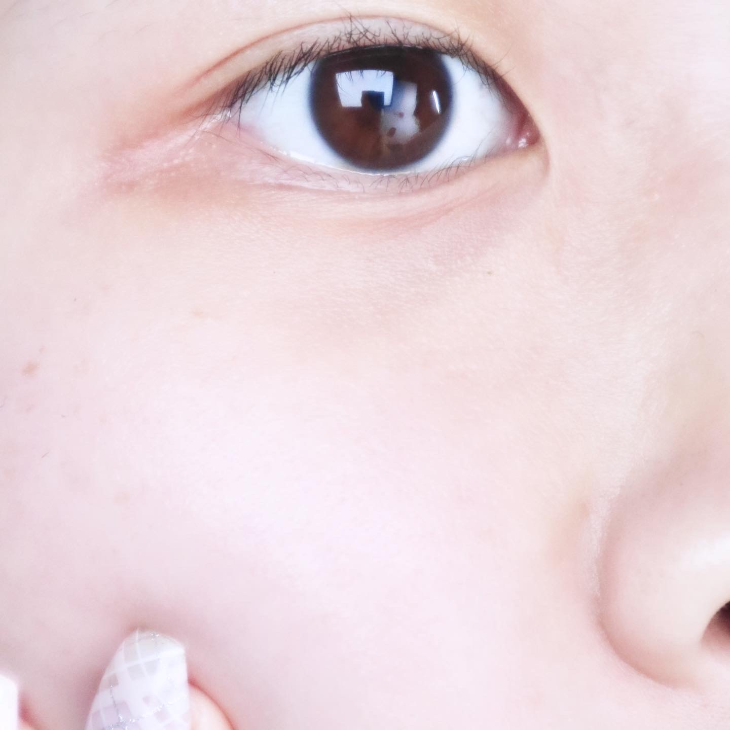 피드이미지정보-6