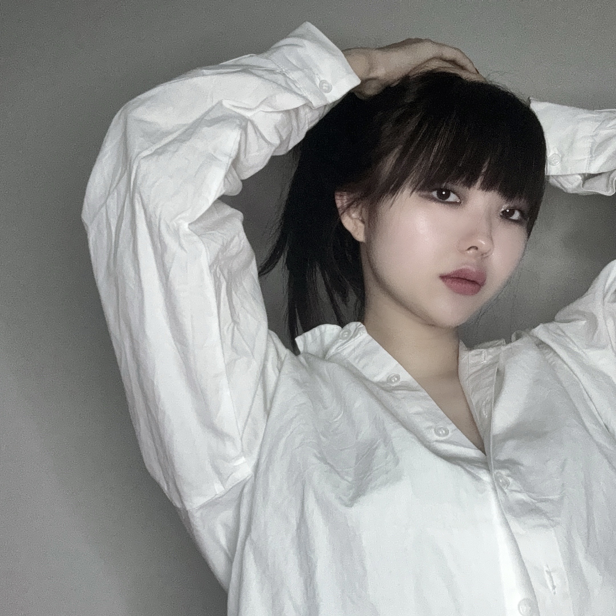 피드이미지정보-1