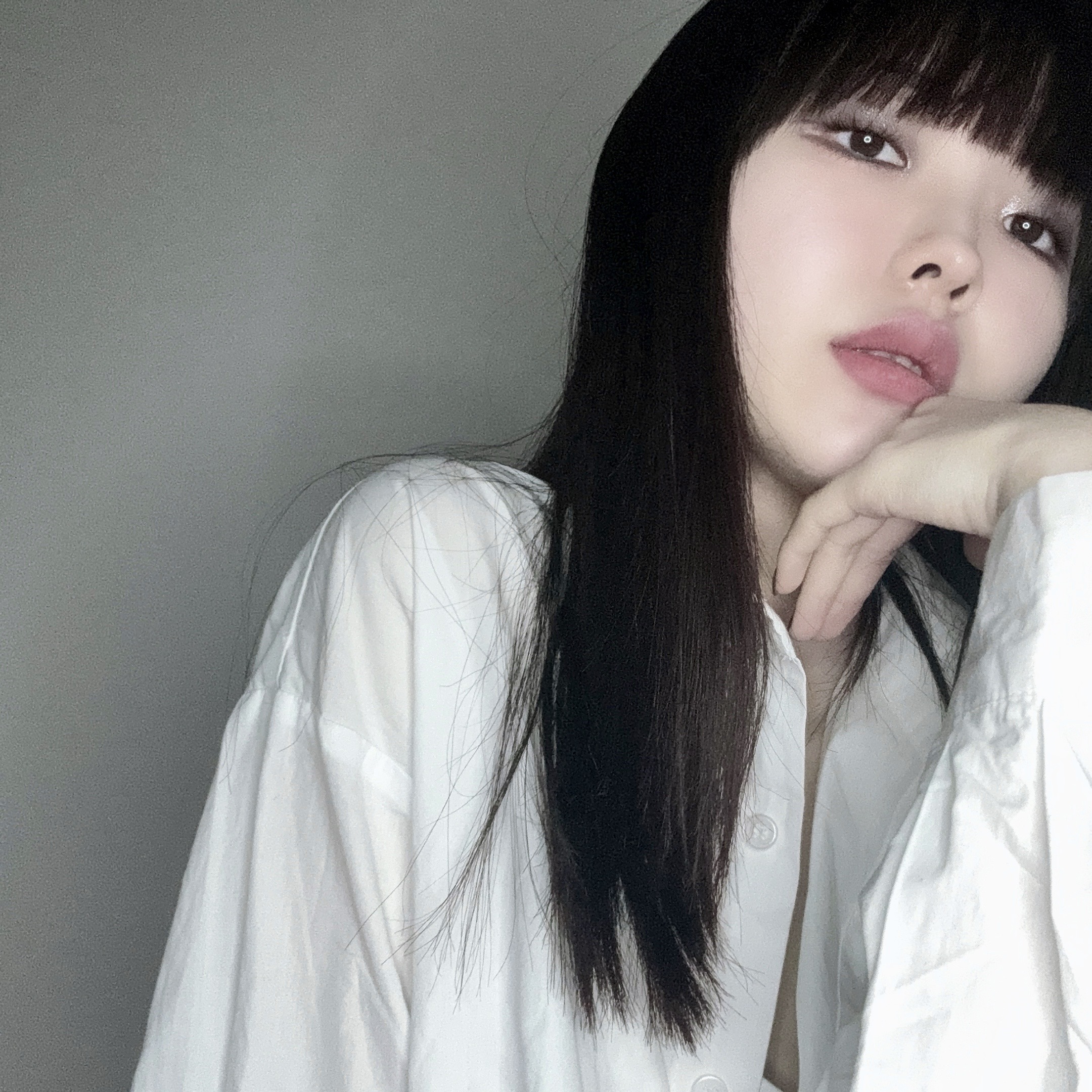 피드이미지정보-0