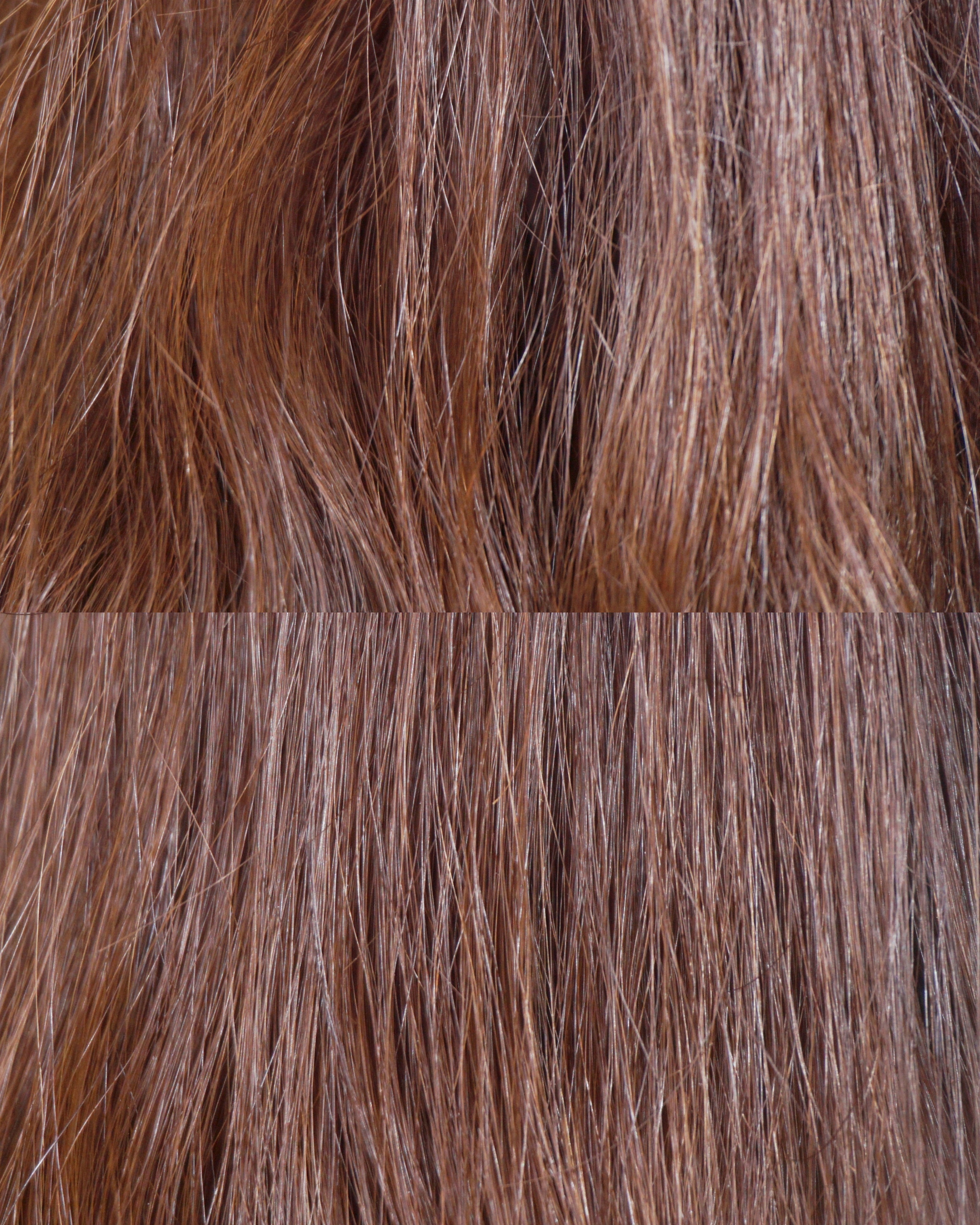 피드이미지정보-2