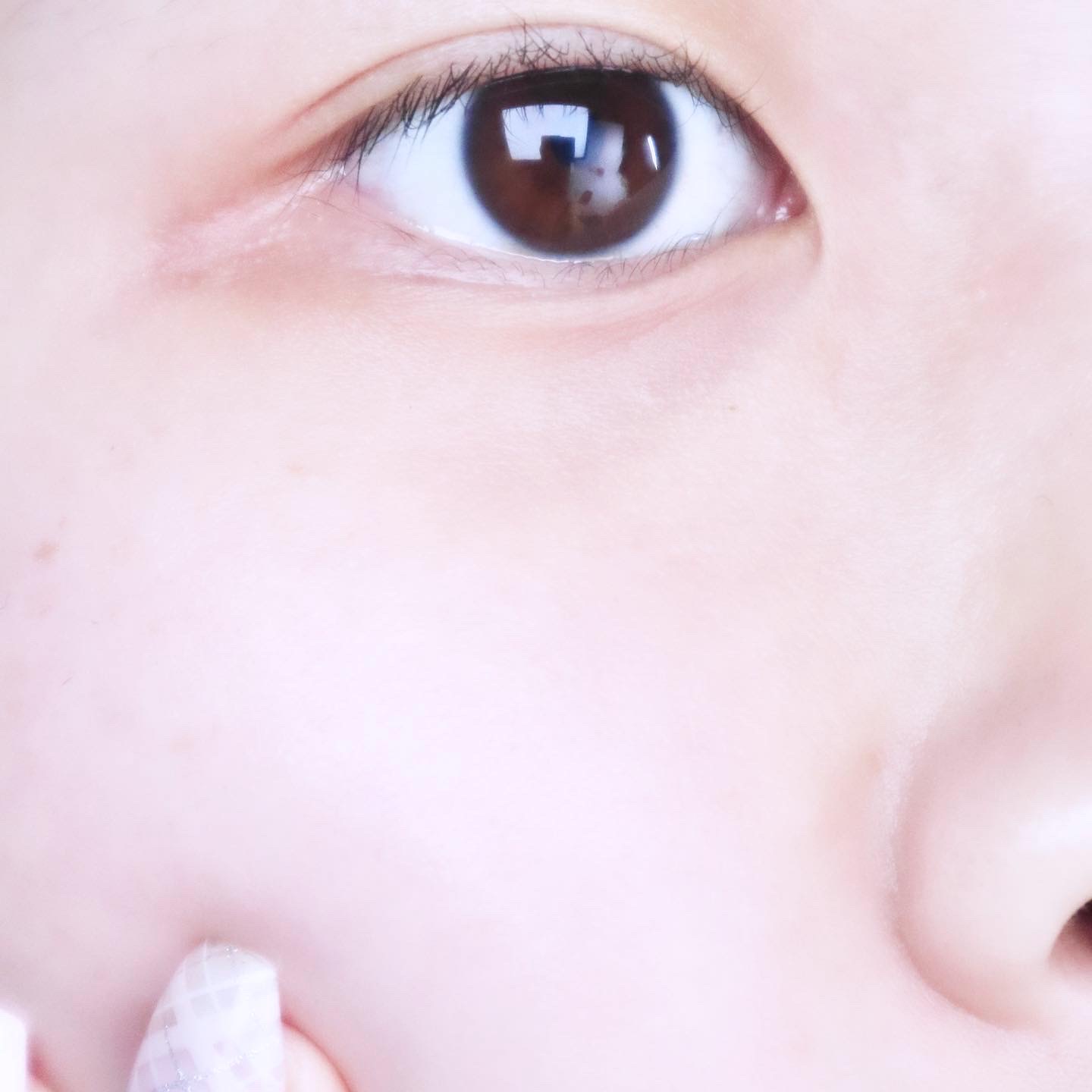 피드이미지정보-3