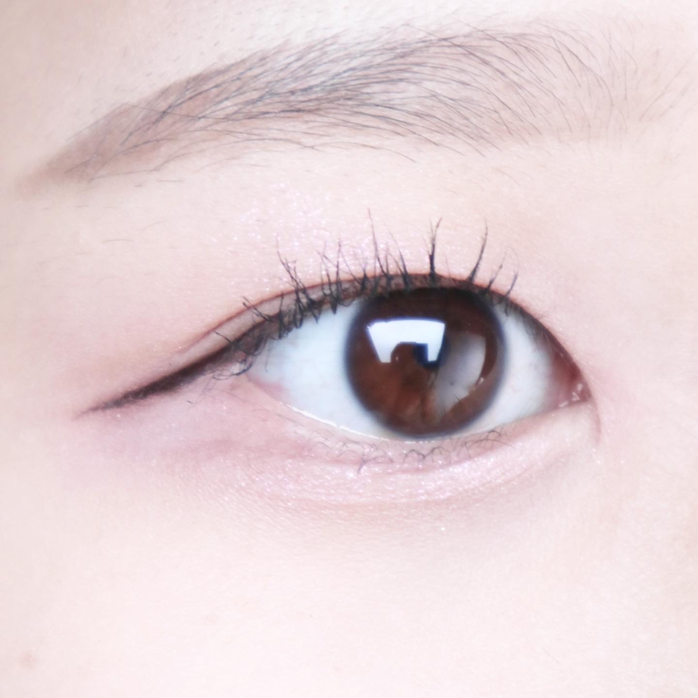 피드이미지정보-0