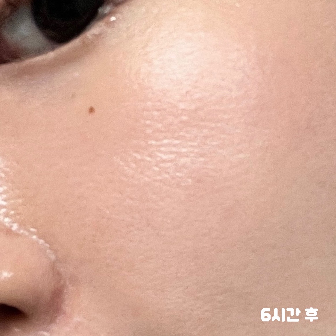 피드이미지정보-2