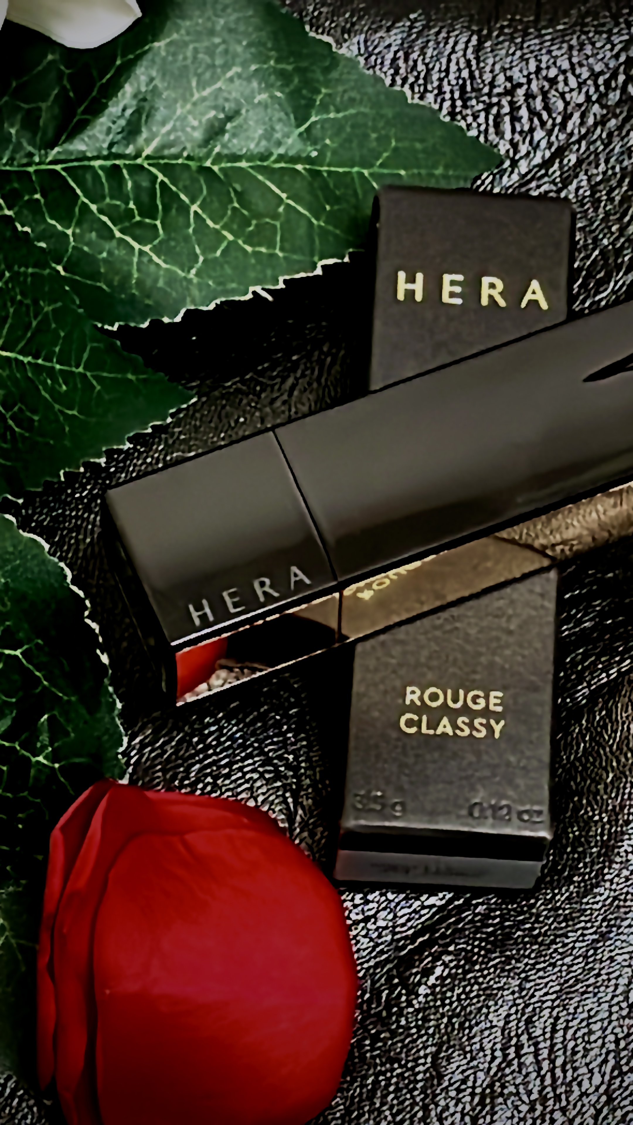 피드이미지정보-0