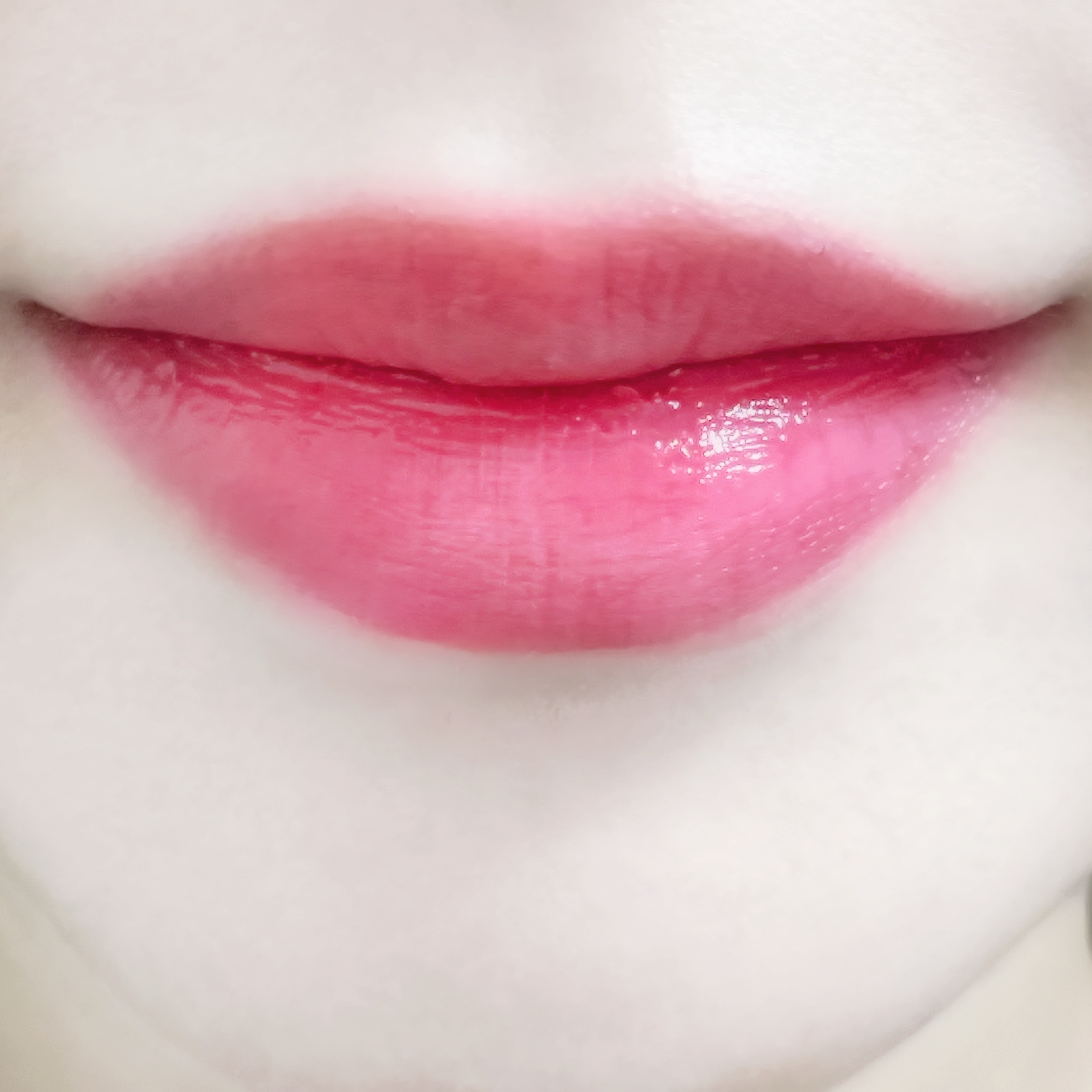 피드이미지정보-3