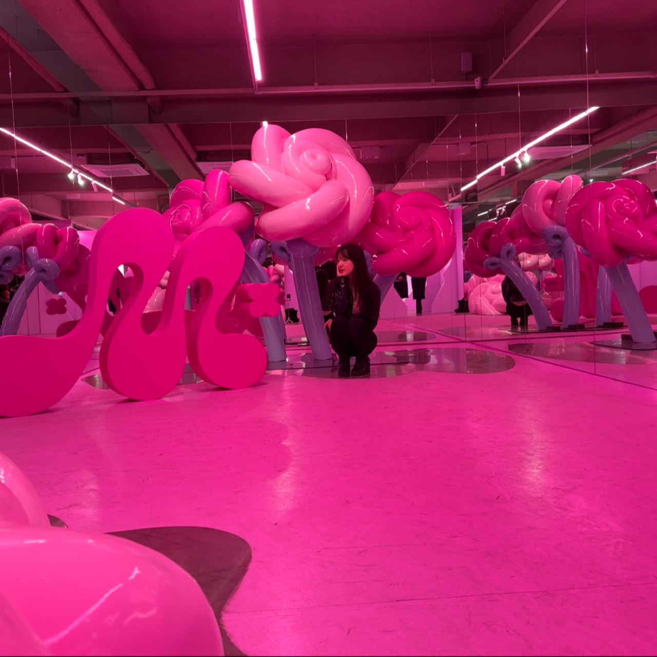 피드이미지정보-6