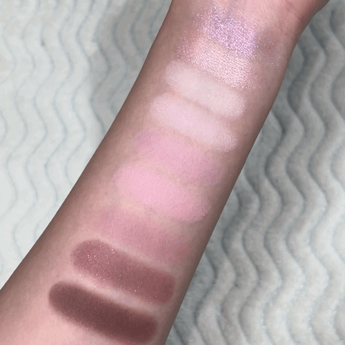 피드이미지정보-3