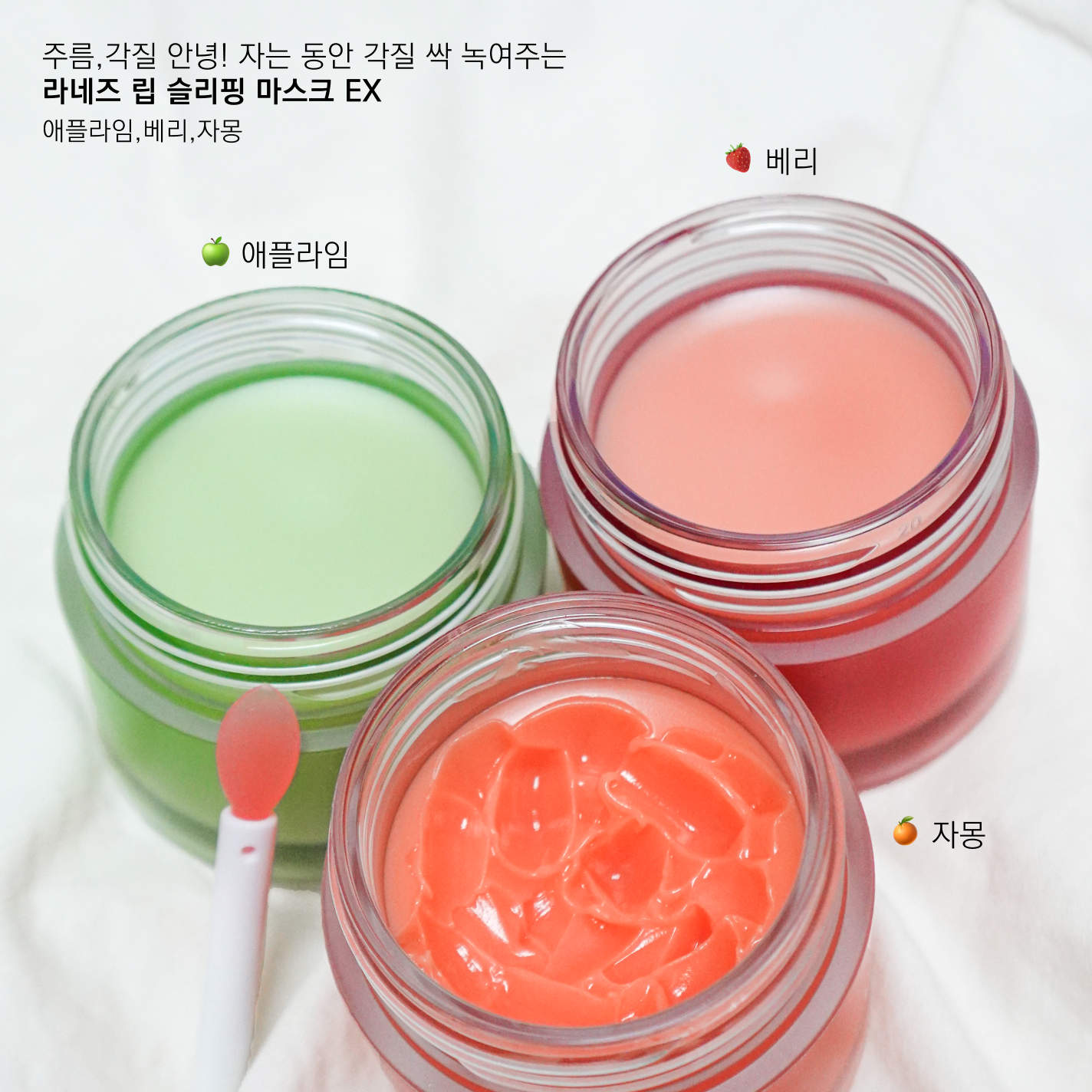 피드이미지정보-1