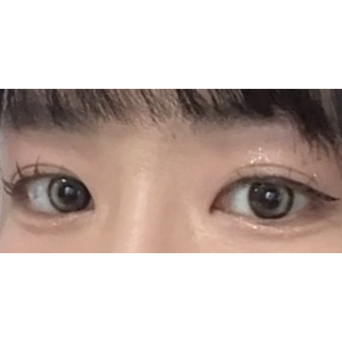 피드이미지정보-2