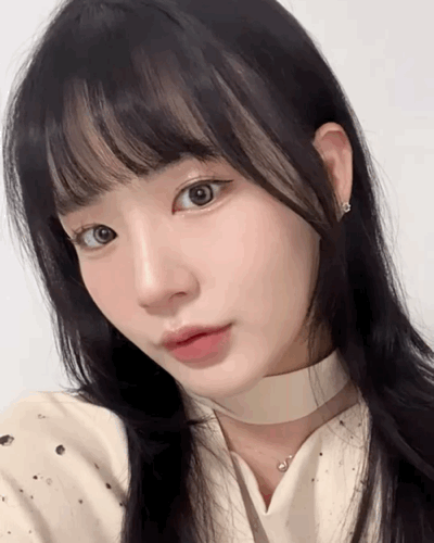 피드이미지정보-0