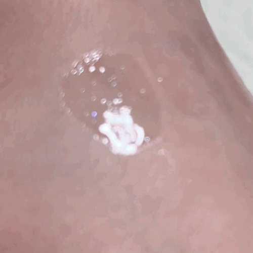 피드이미지정보-4