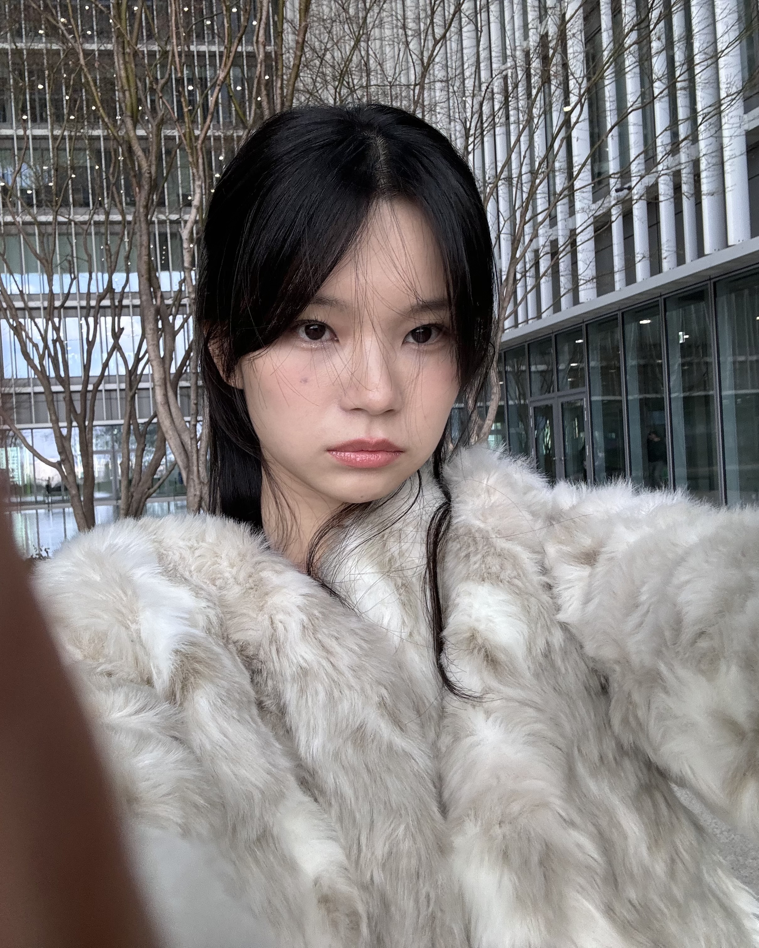 피드이미지정보-0