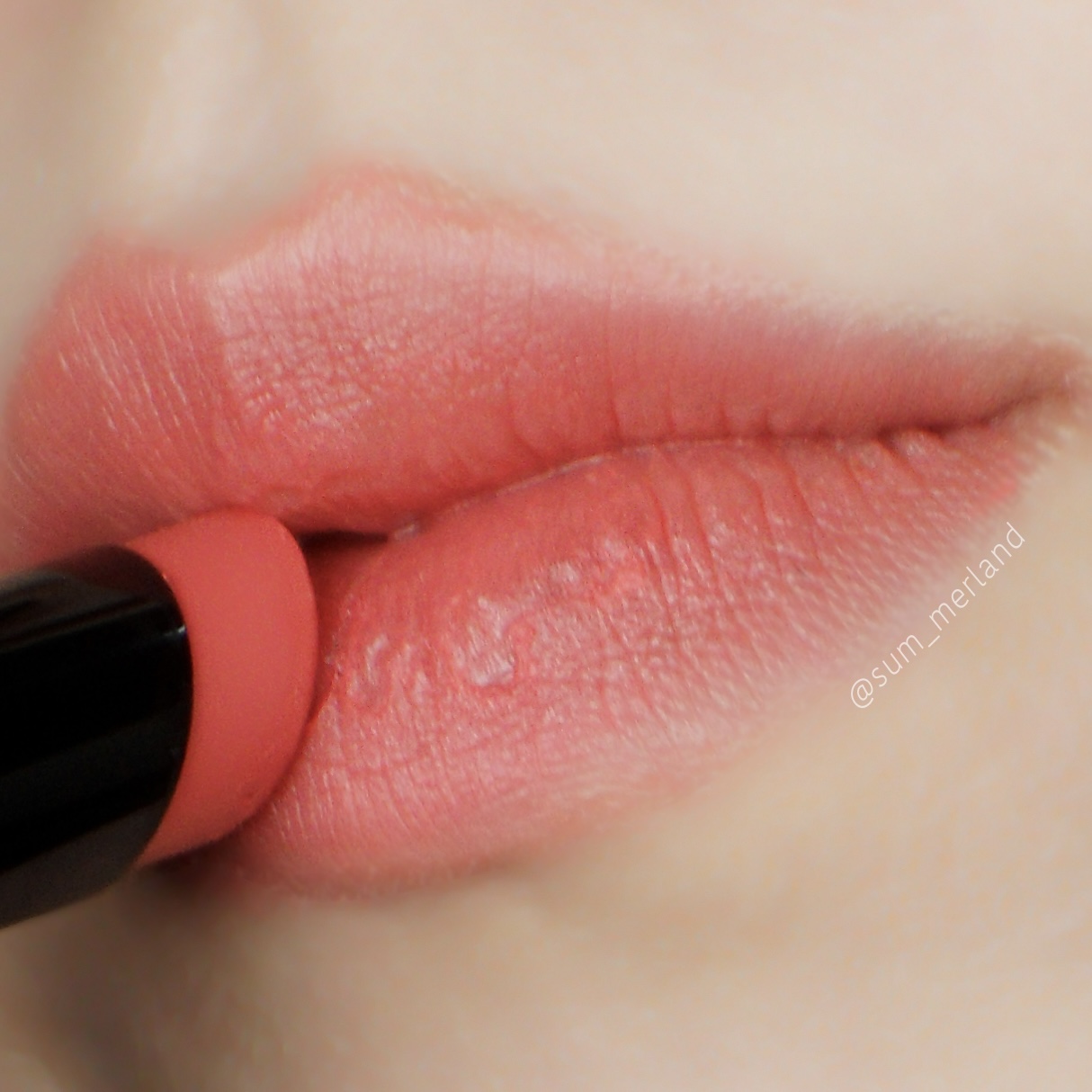 피드이미지정보-1