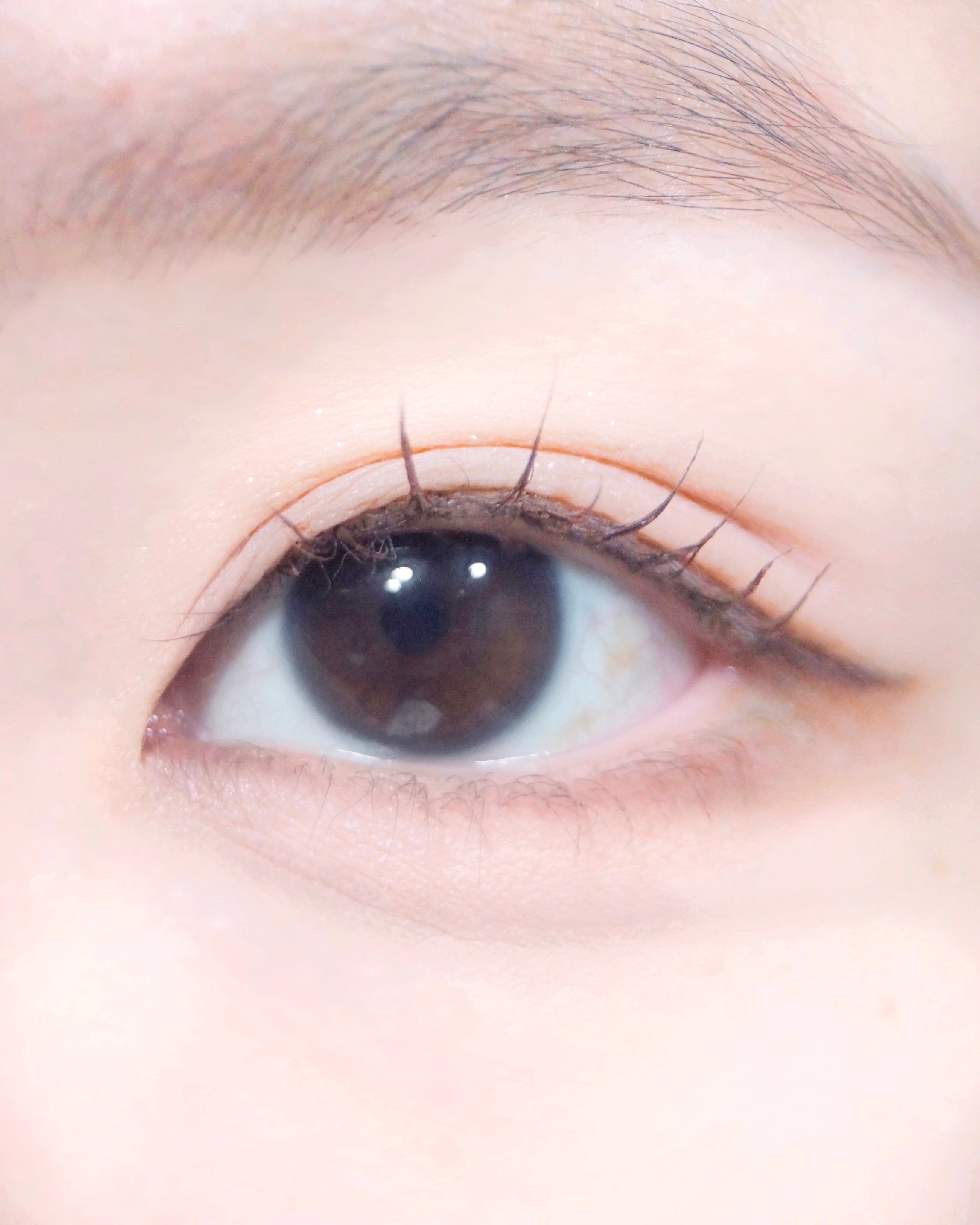 피드이미지정보-0