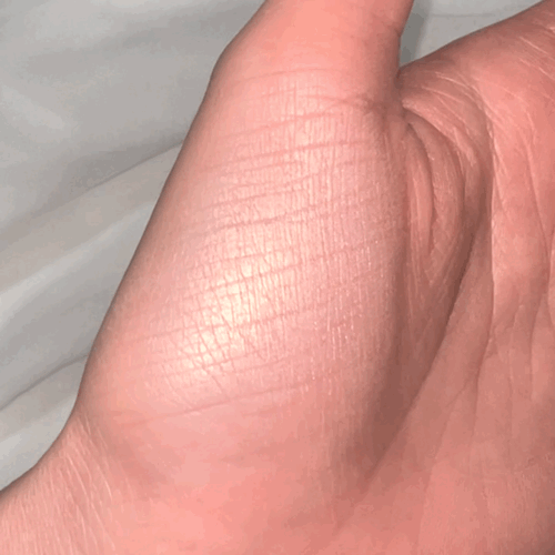 피드이미지정보-2