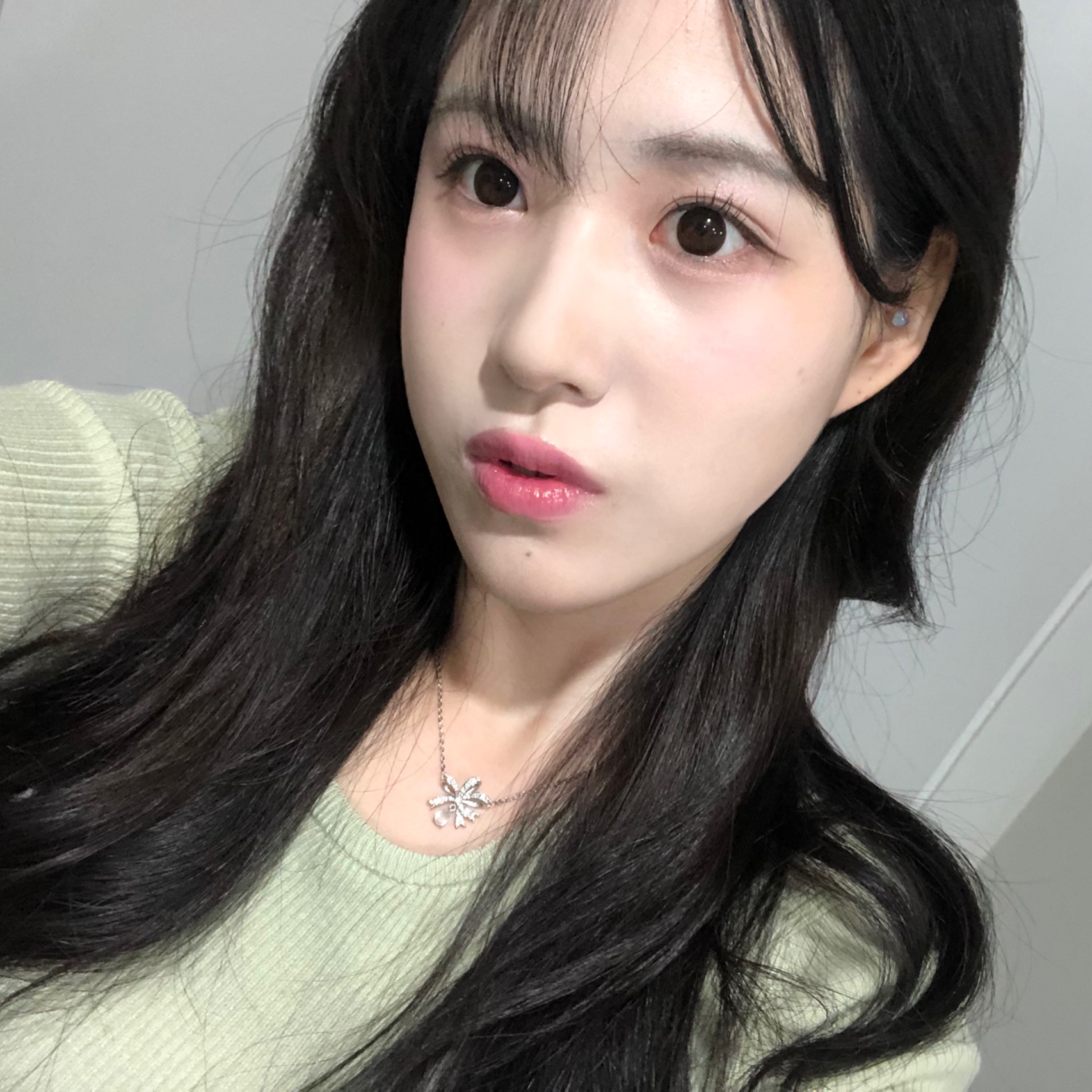 피드이미지정보-6