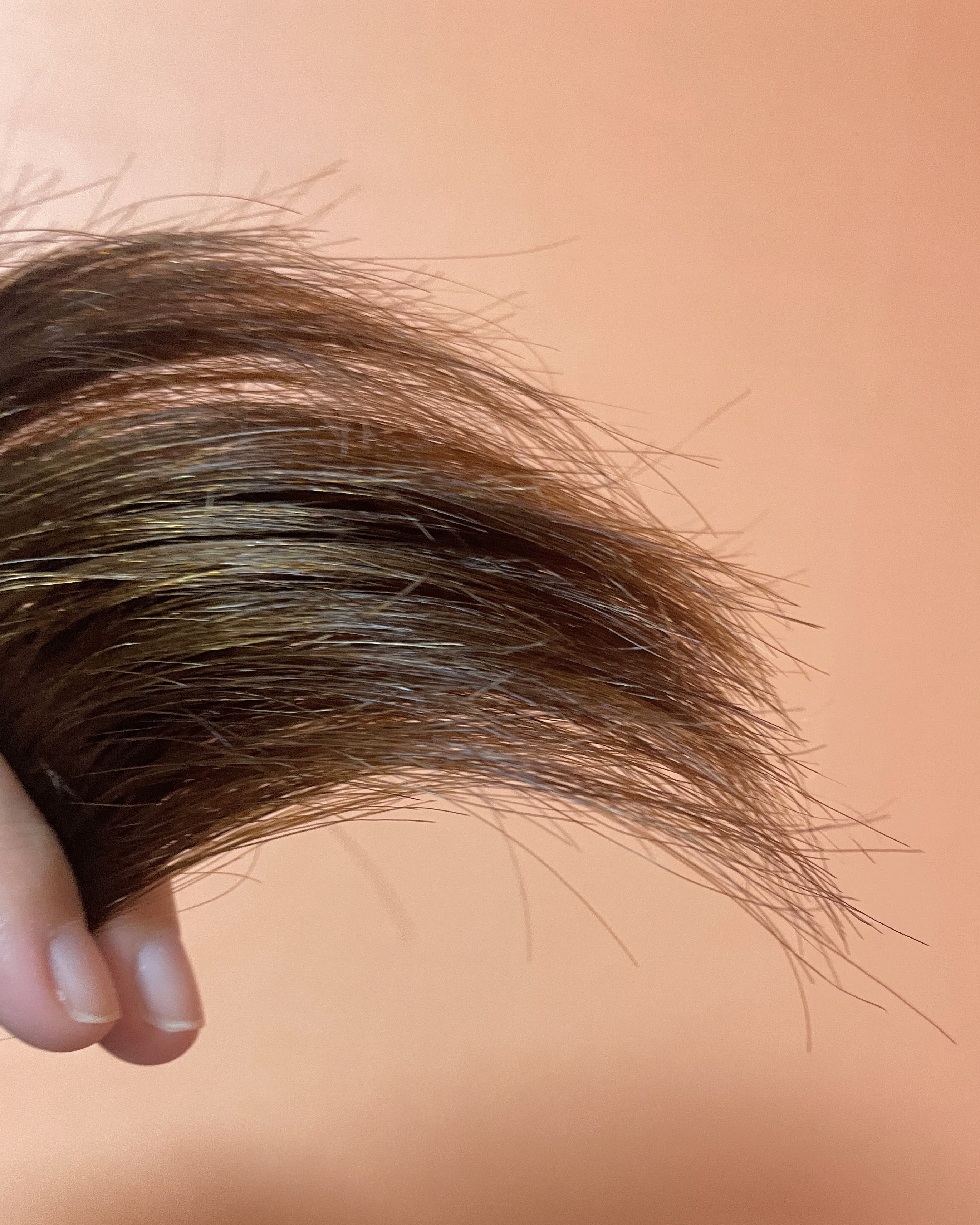 피드이미지정보-2