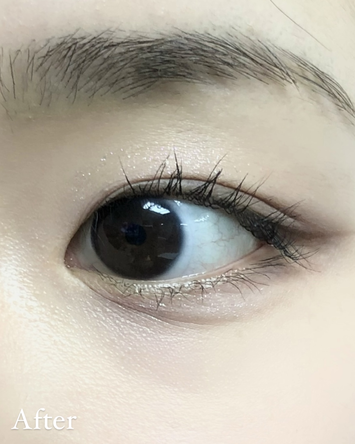 피드이미지정보-3